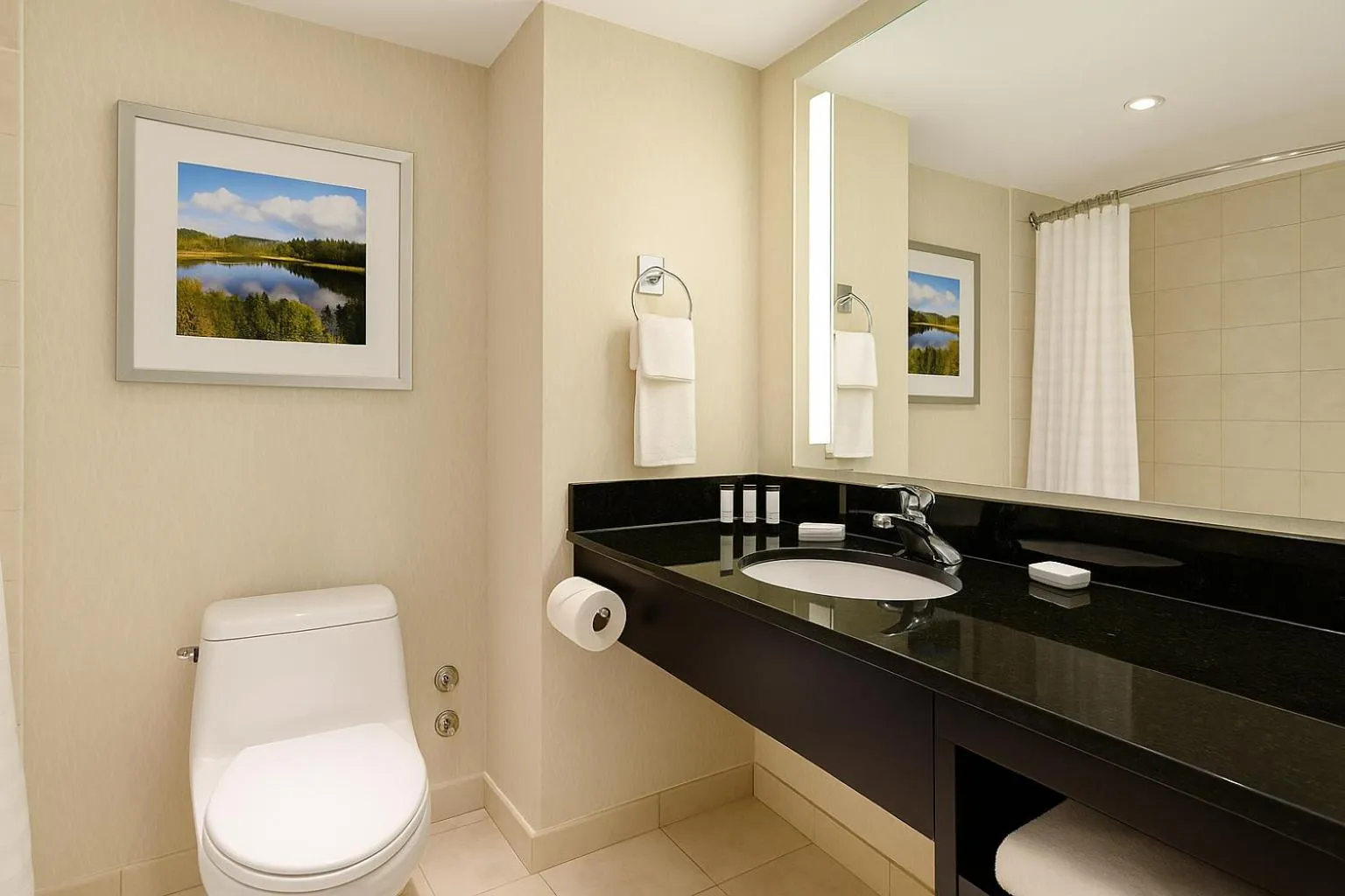 Toilet in Embassy Suites by Hilton Niagara Falls/ Fallsview