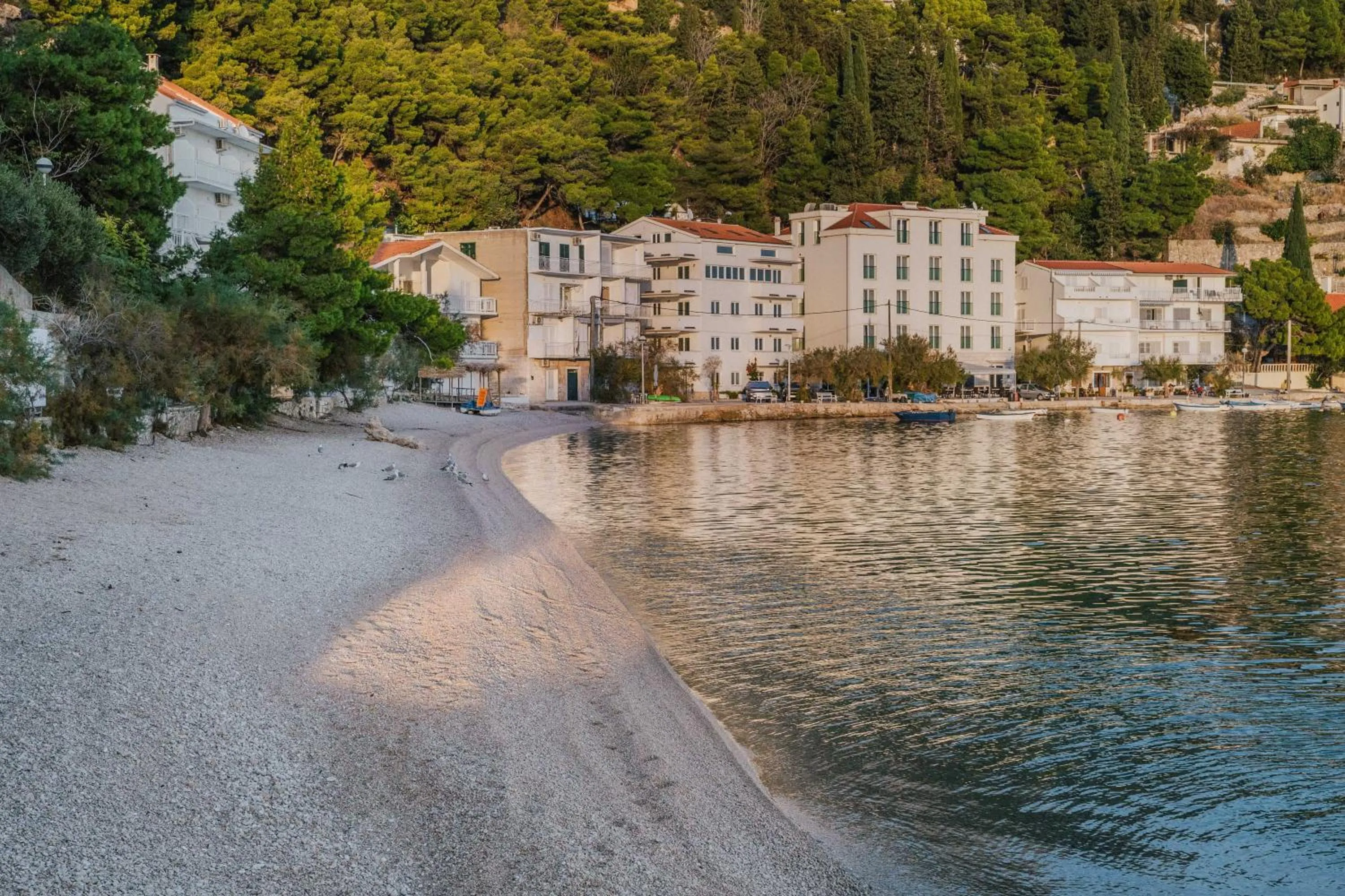Beach in Hotel Pleter