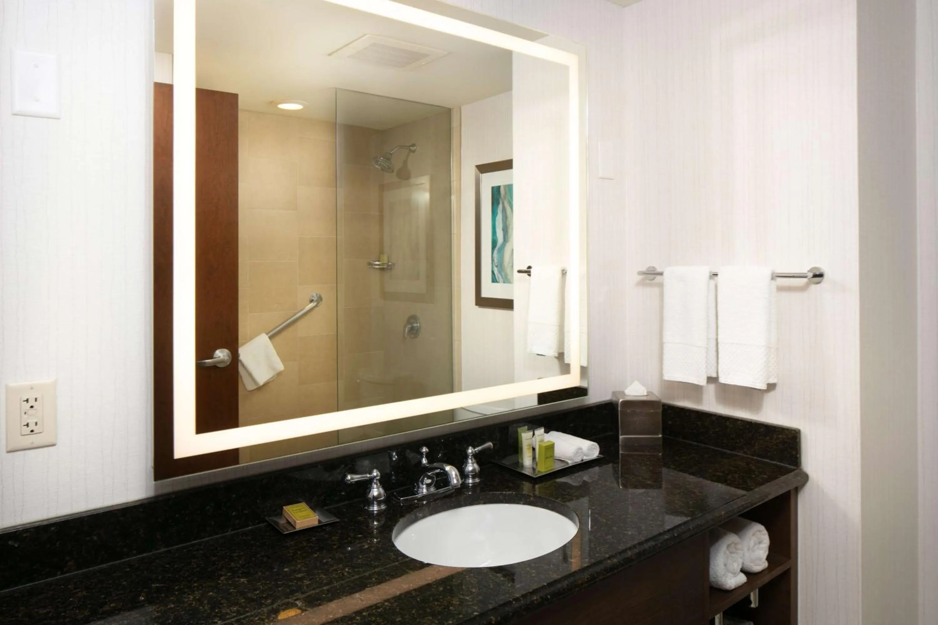 Bathroom in Hilton Minneapolis Bloomington