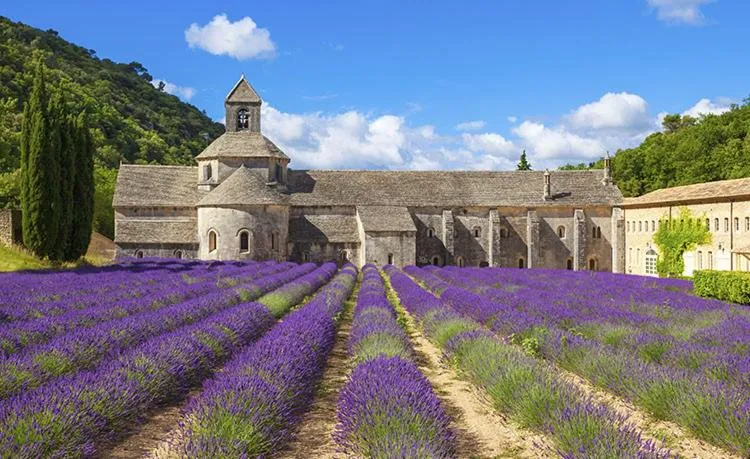 Spring in Mas des Armouriers
