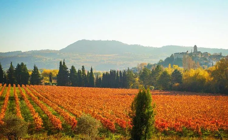 Natural landscape in Mas des Armouriers