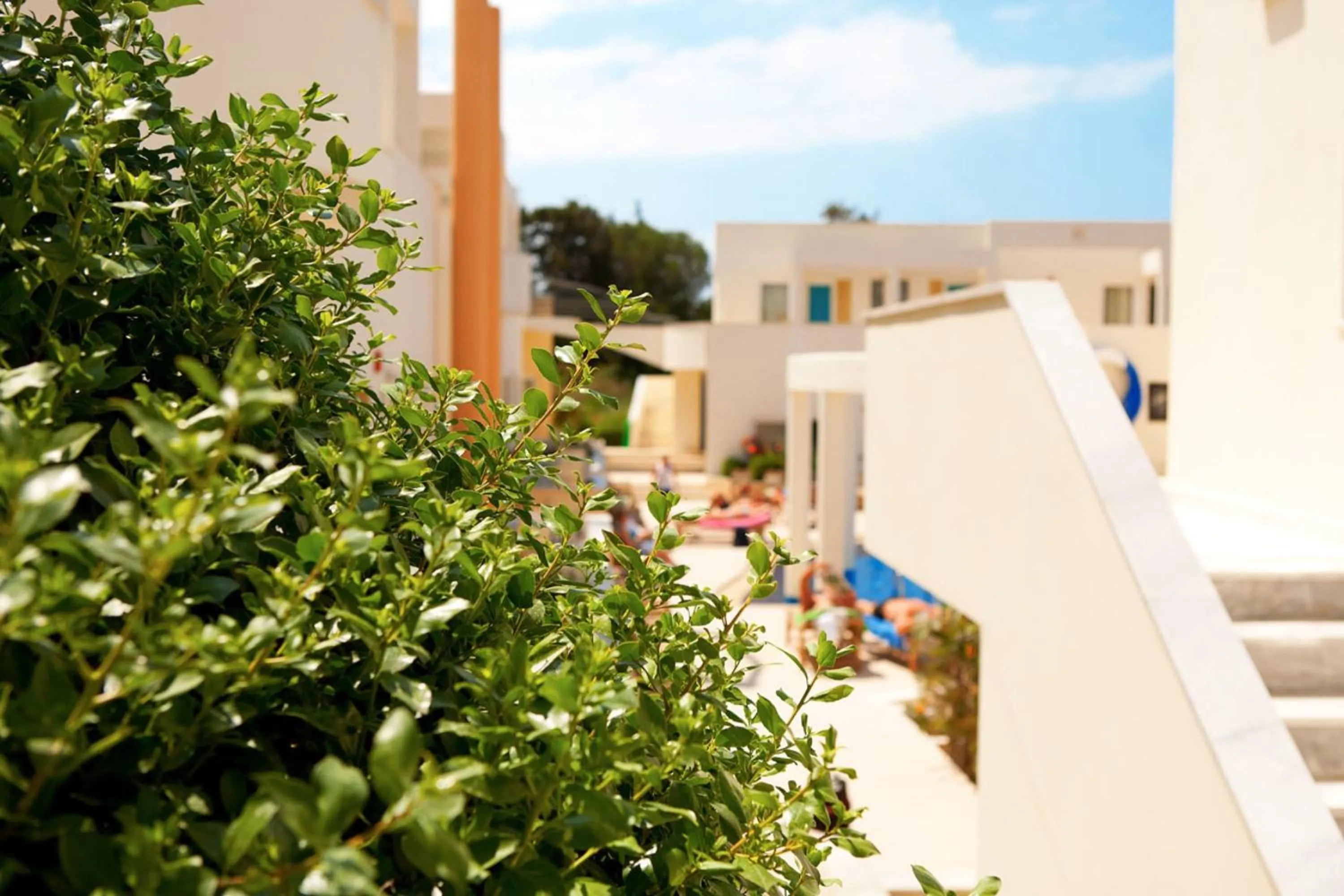 Other in Forum Suites