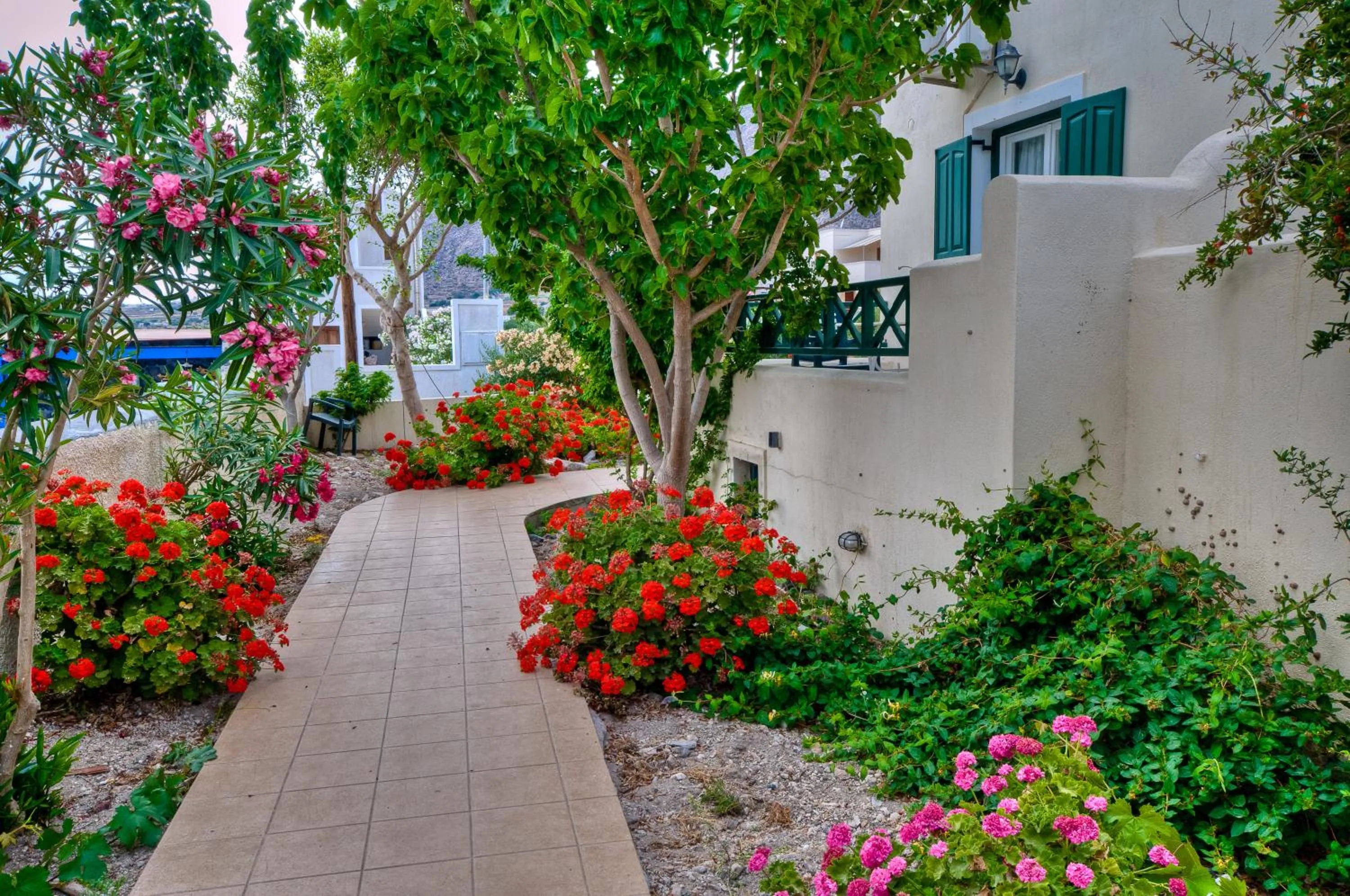 Garden in Phevos Villa