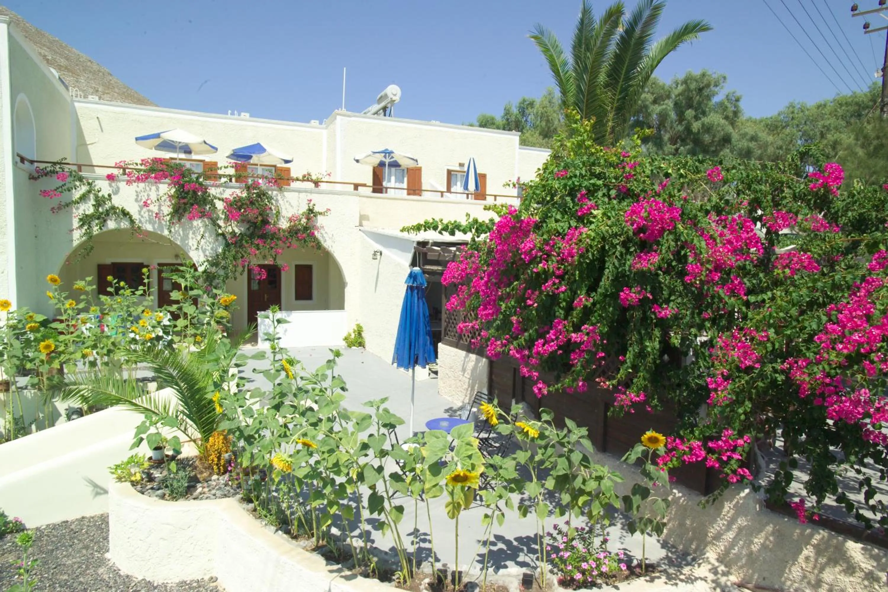 Facade/entrance in Sunflower ApartHotel
