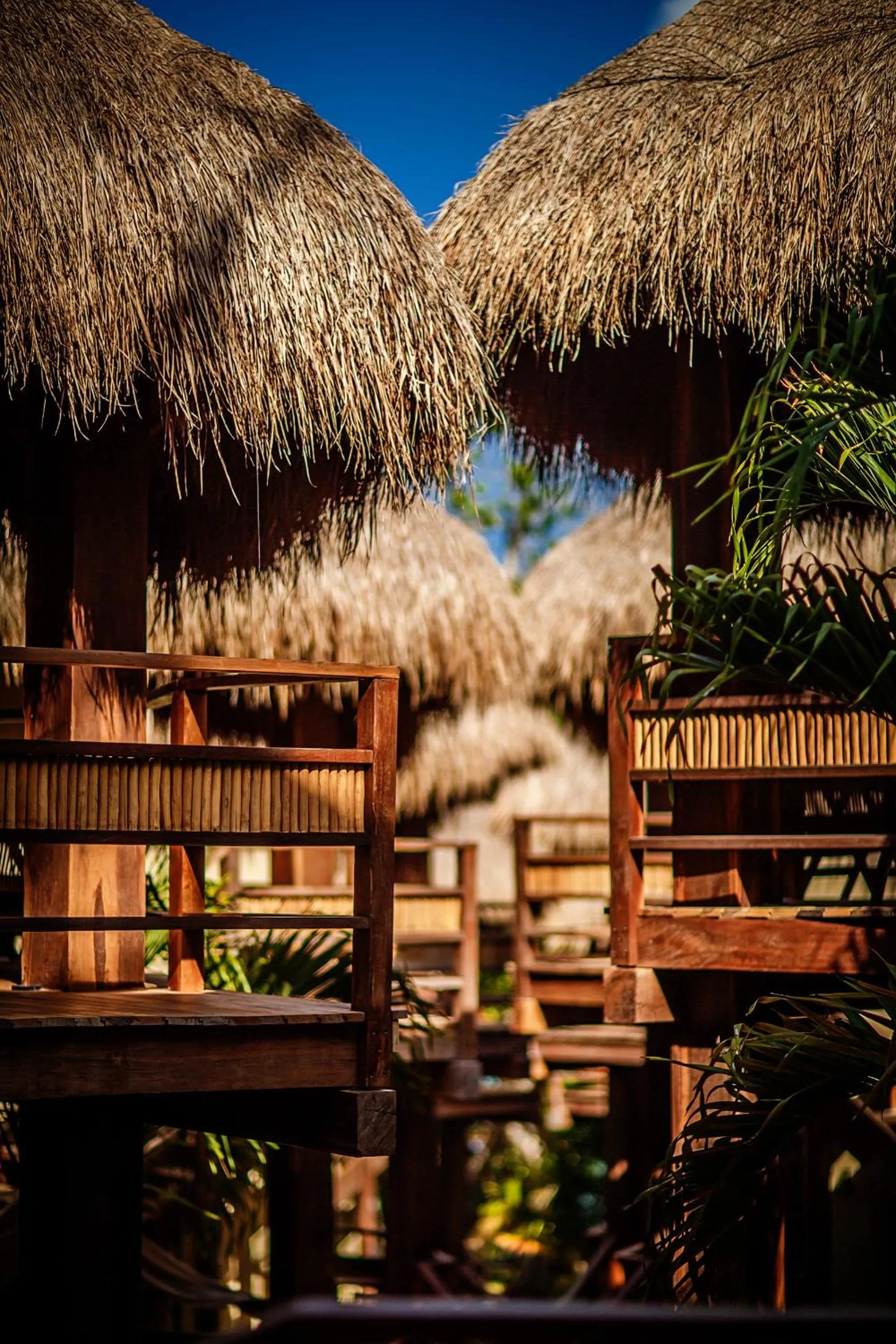 Property building in Hotel Carolina Bacalar