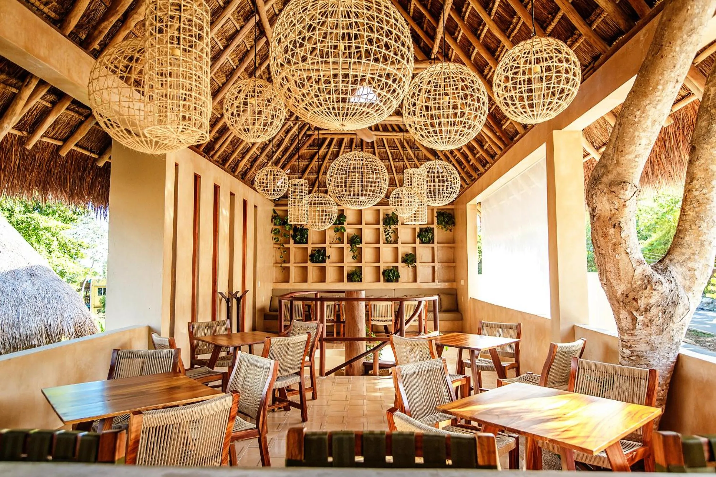Restaurant/places to eat in Hotel Carolina Bacalar