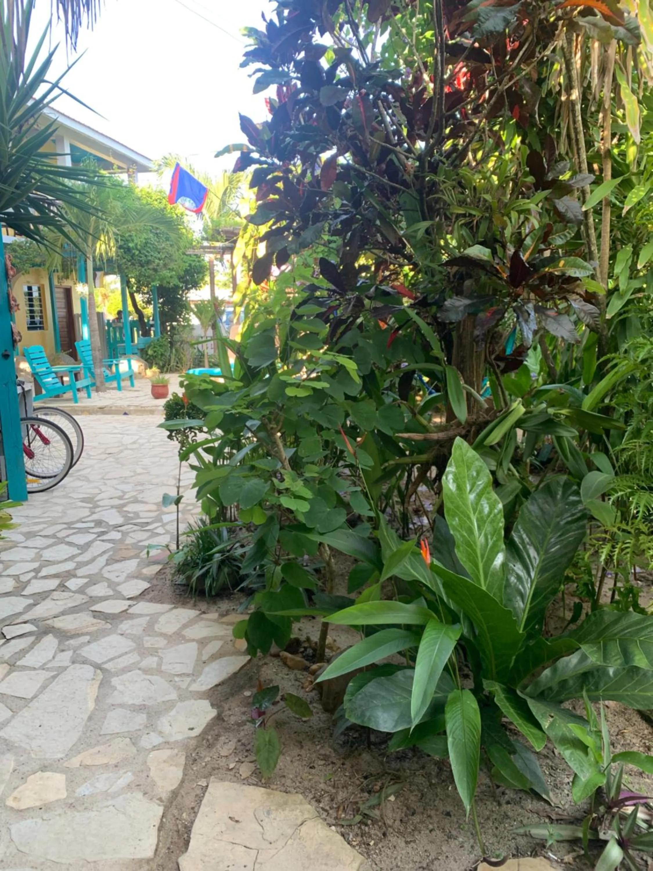 Garden view in All Seasons Belize