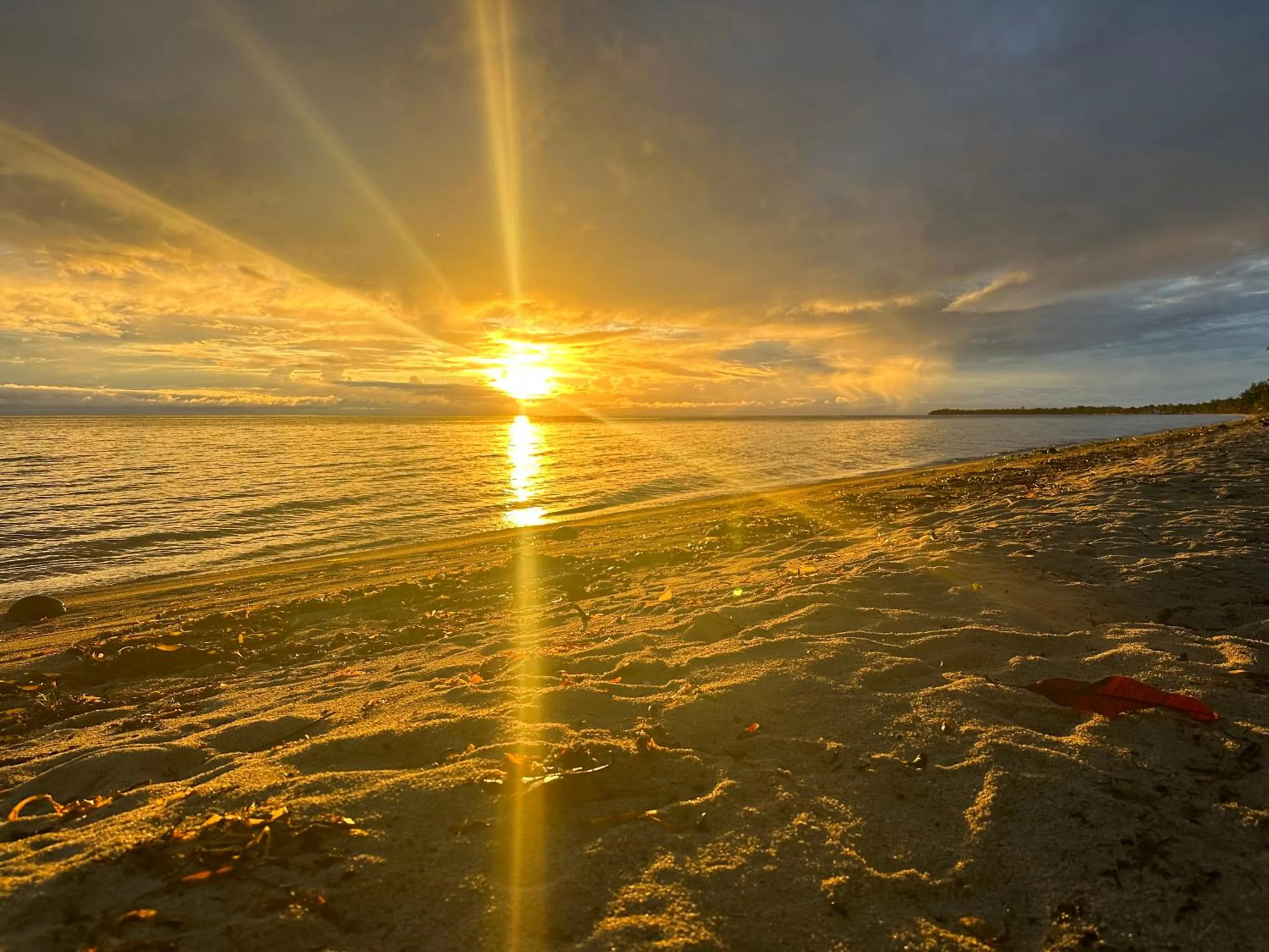 Day in All Seasons Belize