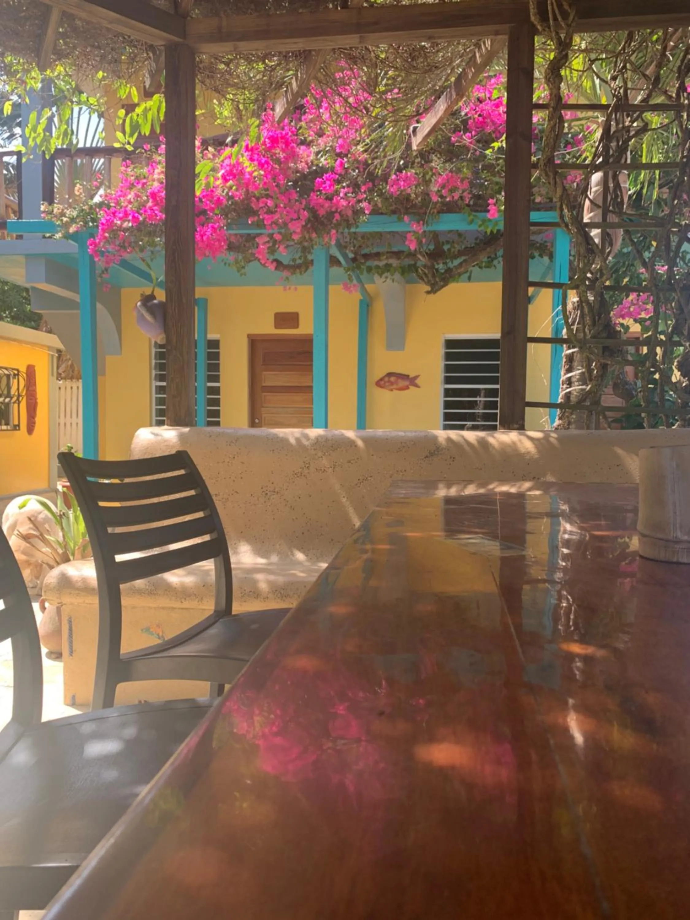 Patio in All Seasons Belize