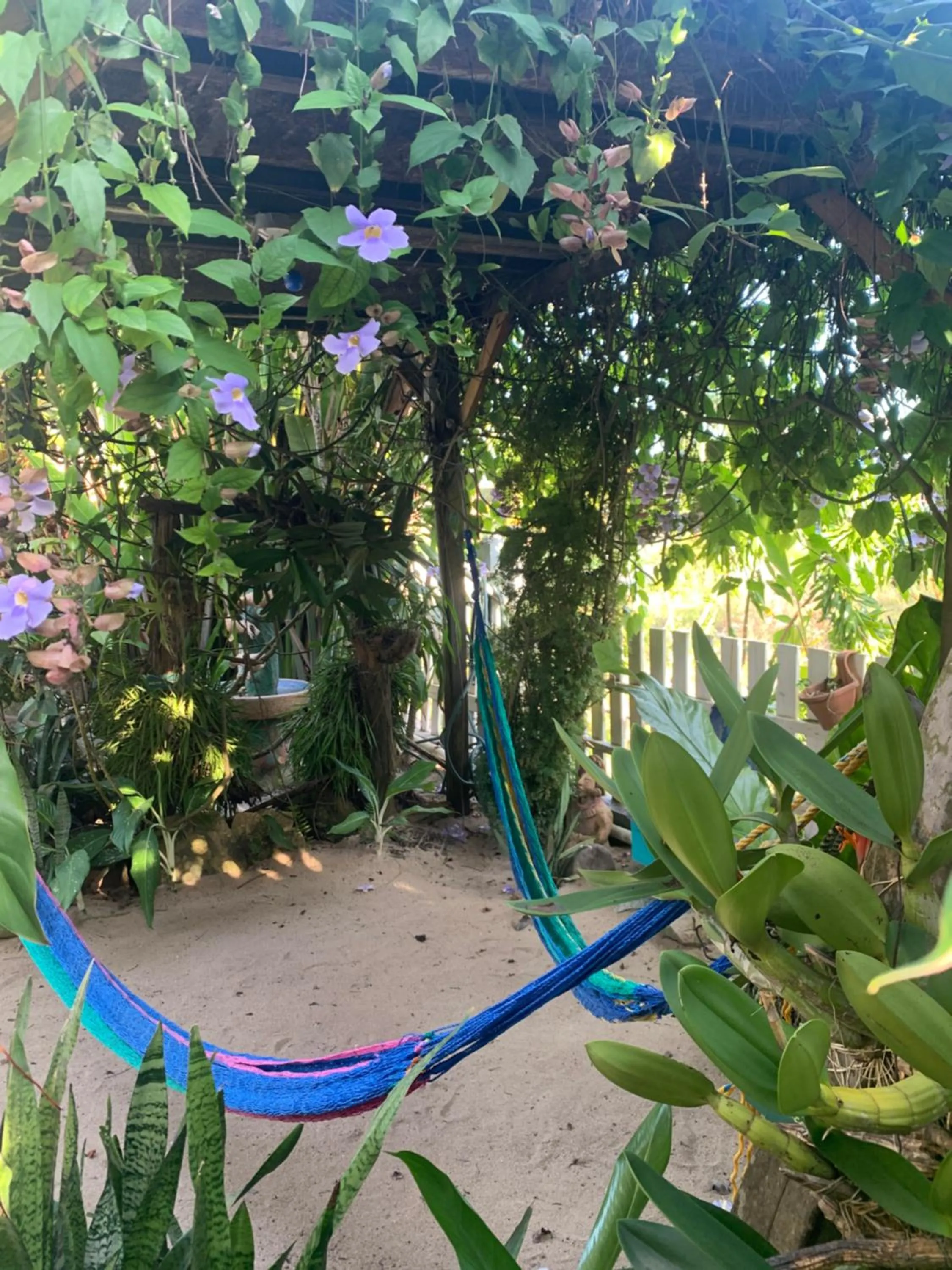 Seating area in All Seasons Belize
