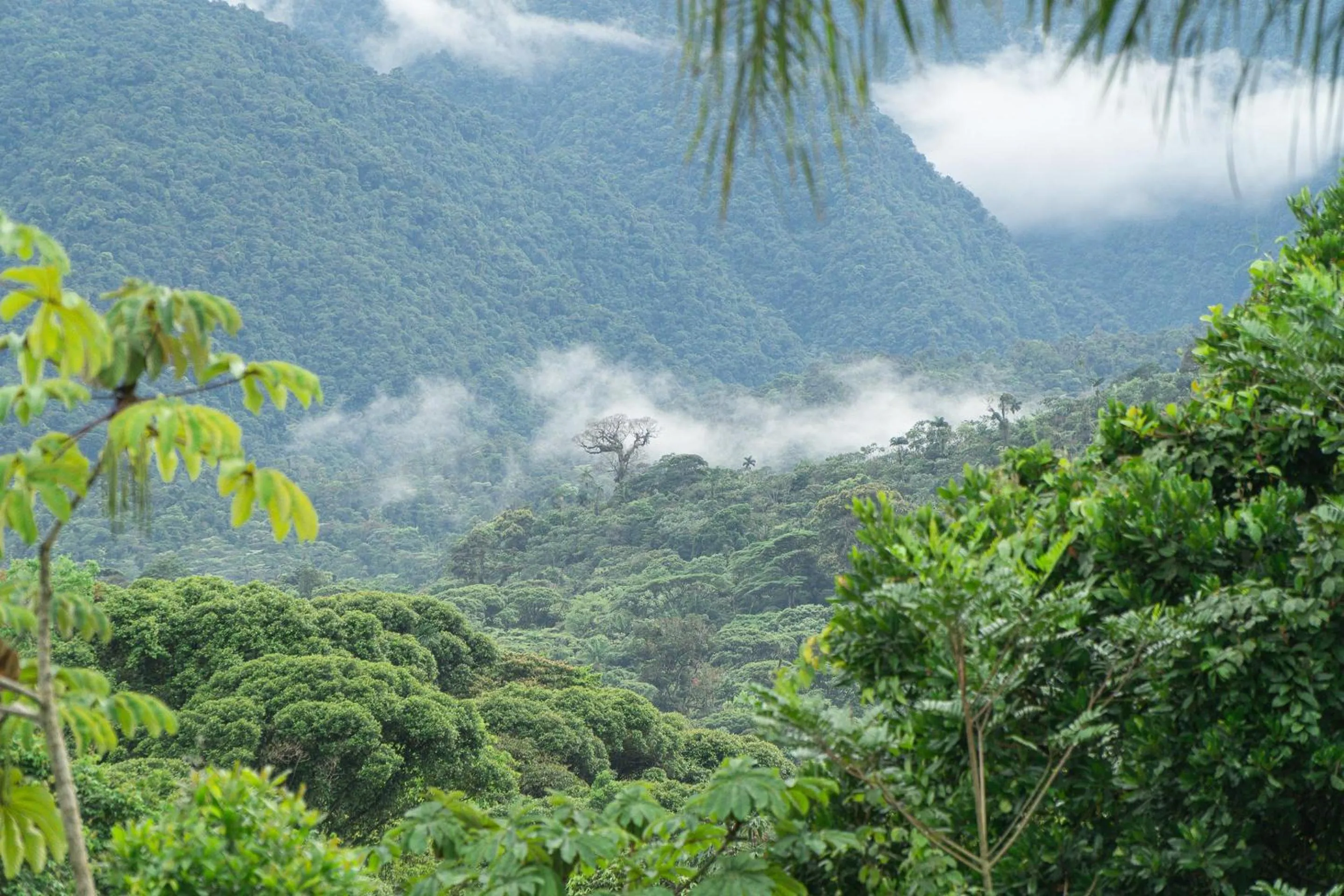 Nearby landmark in Ecolirios Boutique Hotel & Villas