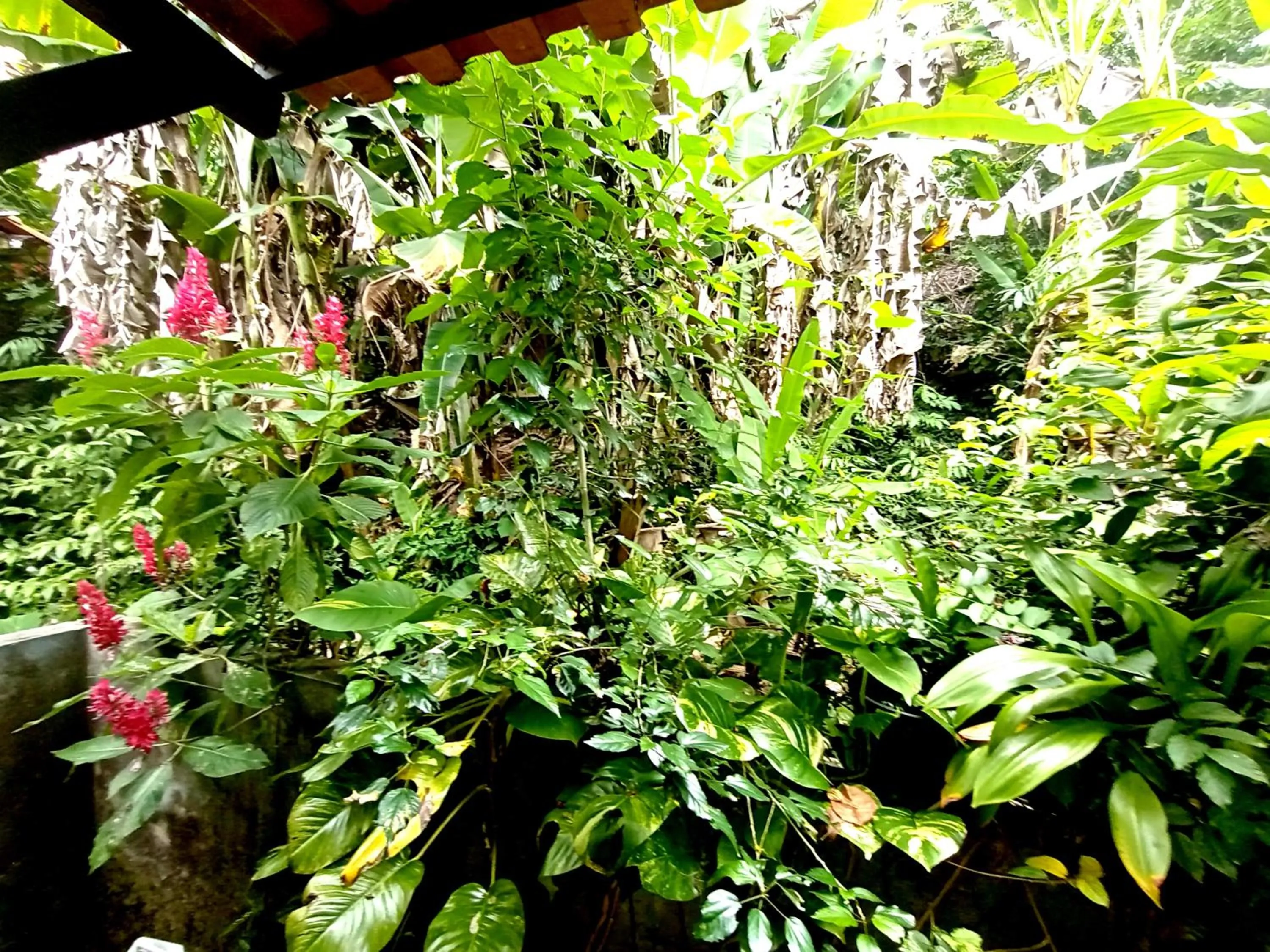 Natural landscape in Pousada Lagoa Flat