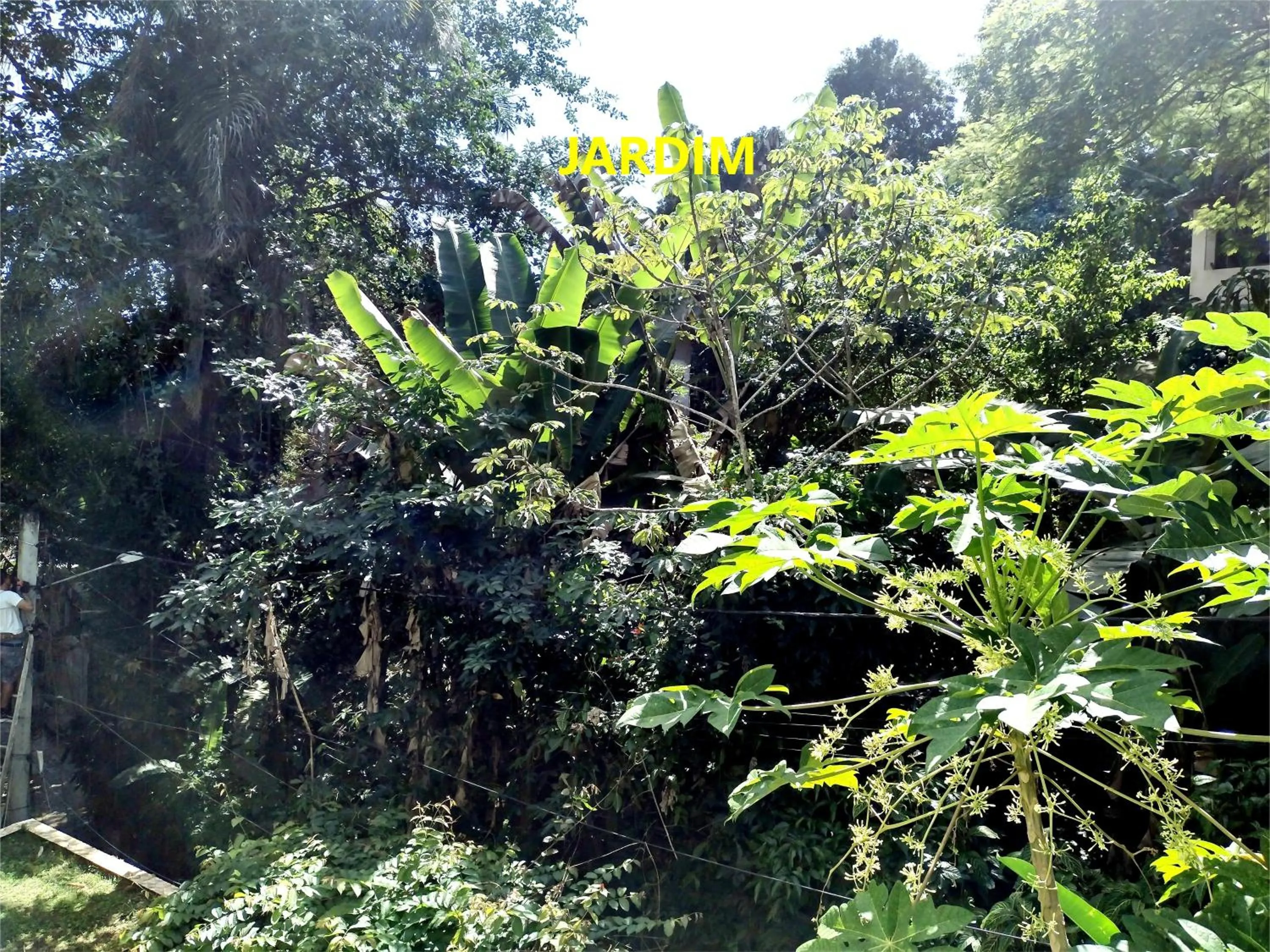 Natural landscape in Pousada Lagoa Flat