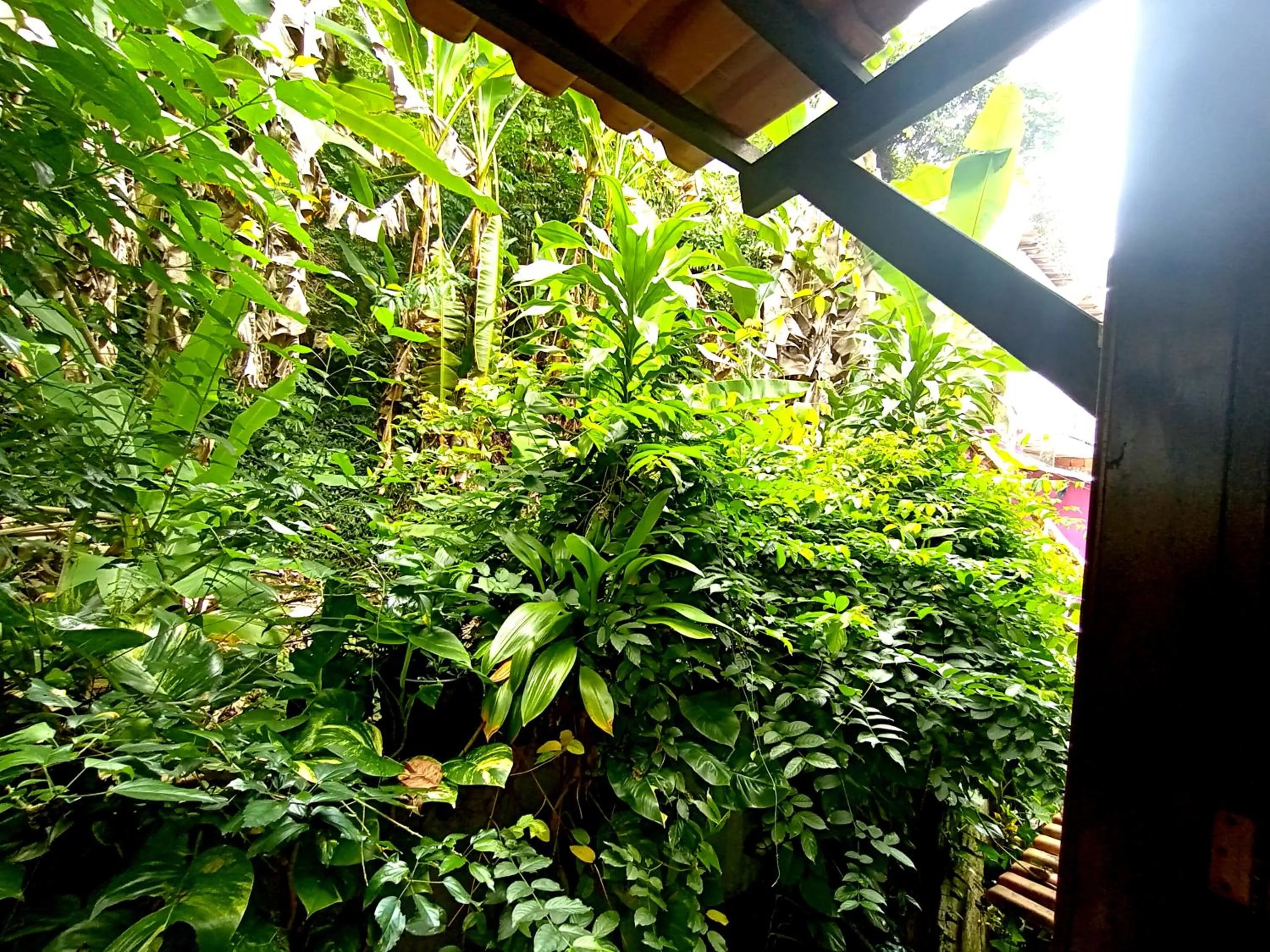 Natural landscape in Pousada Lagoa Flat