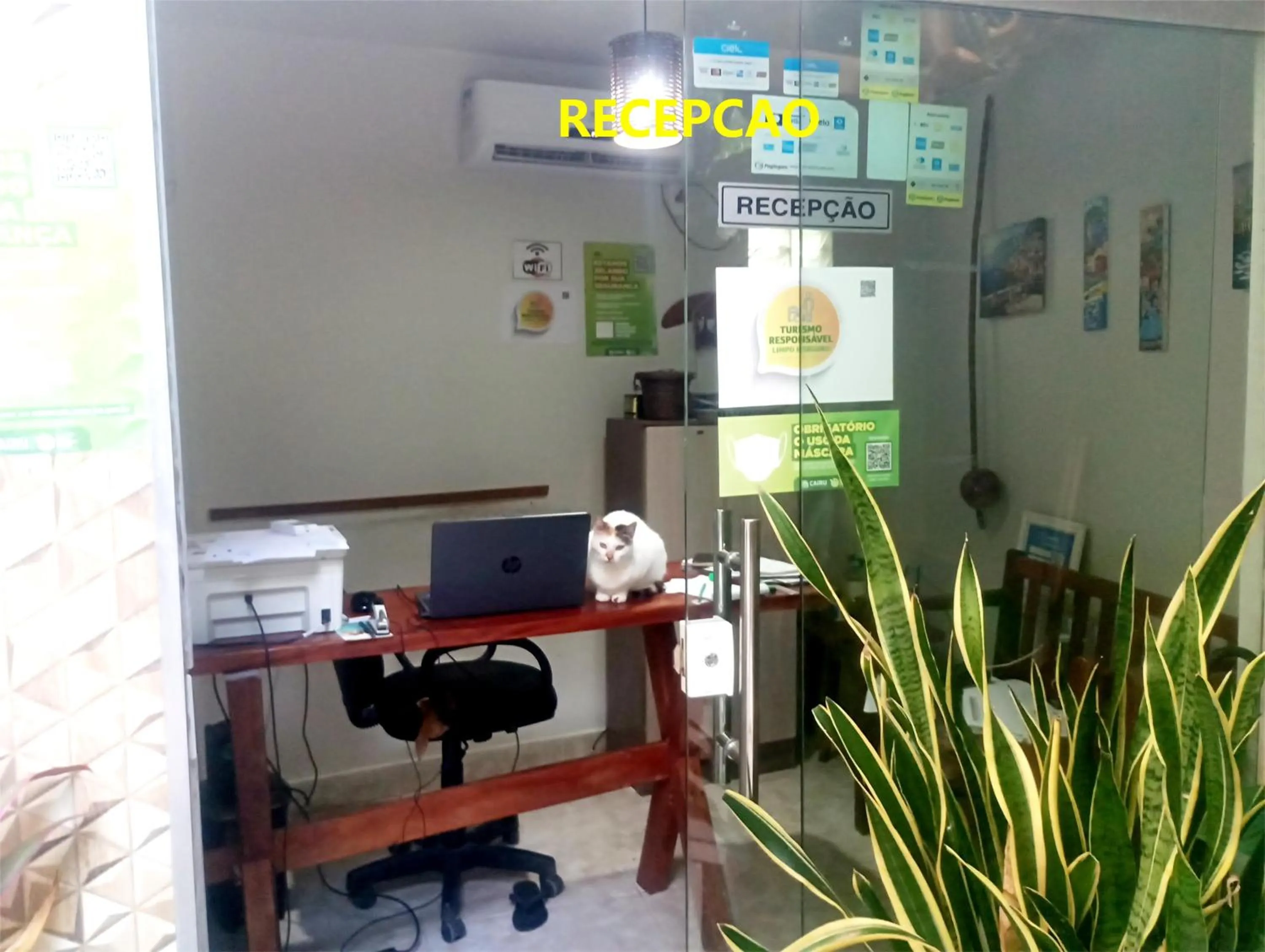 Meals in Pousada Lagoa Flat