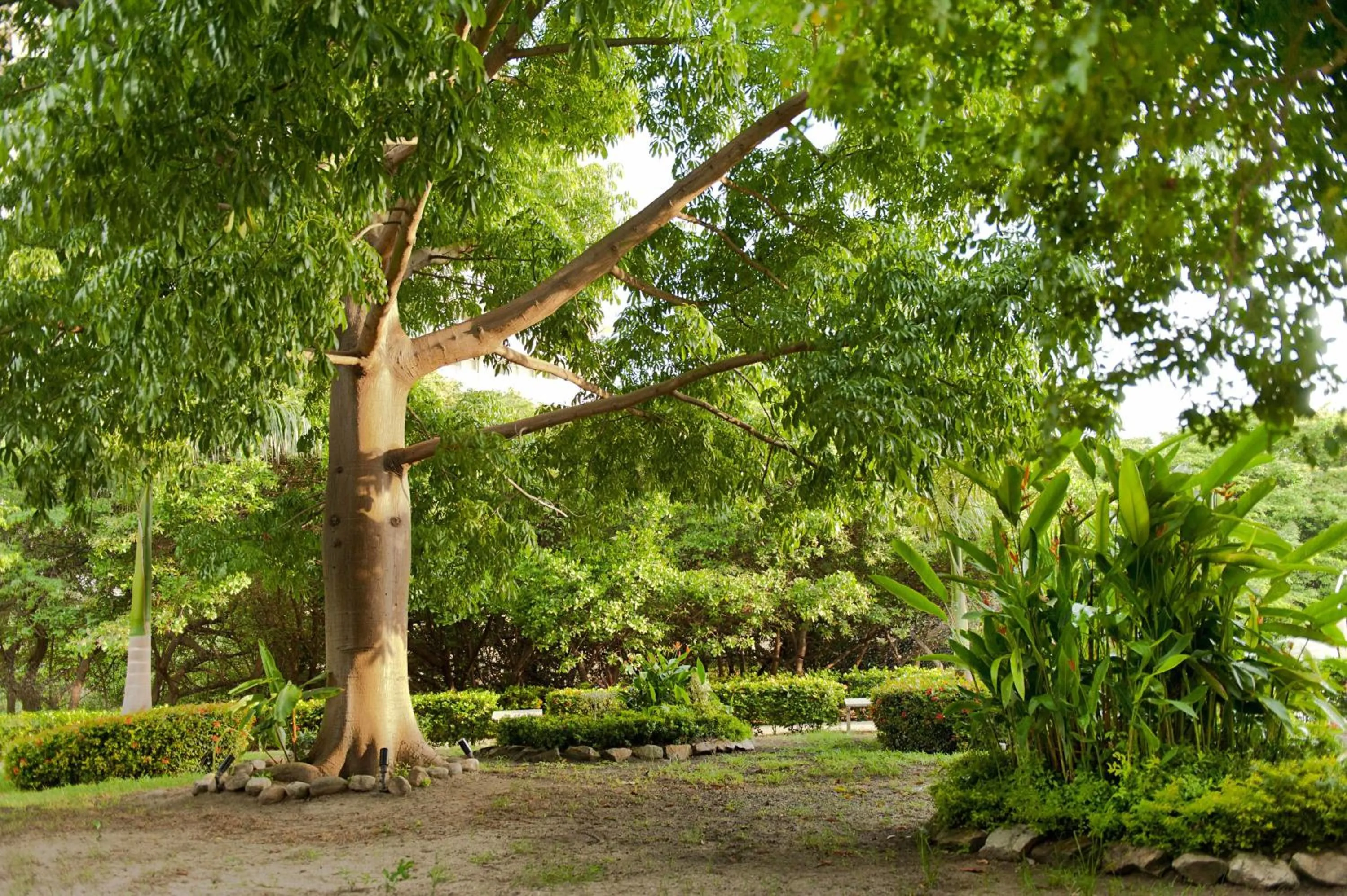 Day in Hotel Irotama del Mar