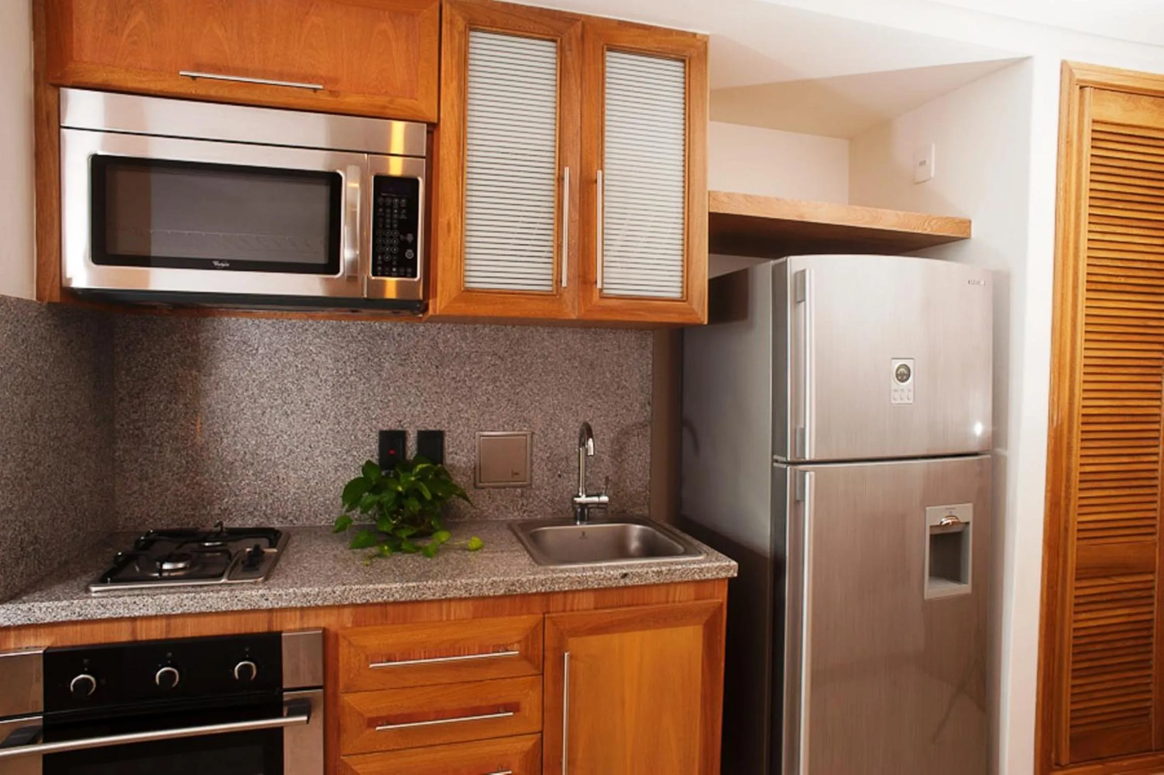 Kitchen or kitchenette in Hotel Irotama del Mar
