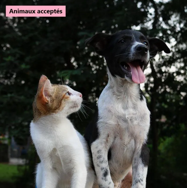 Animals in Hôtel Le Clos Badan