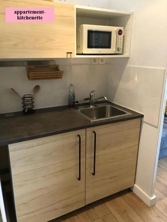 Kitchen or kitchenette in Hôtel Le Clos Badan