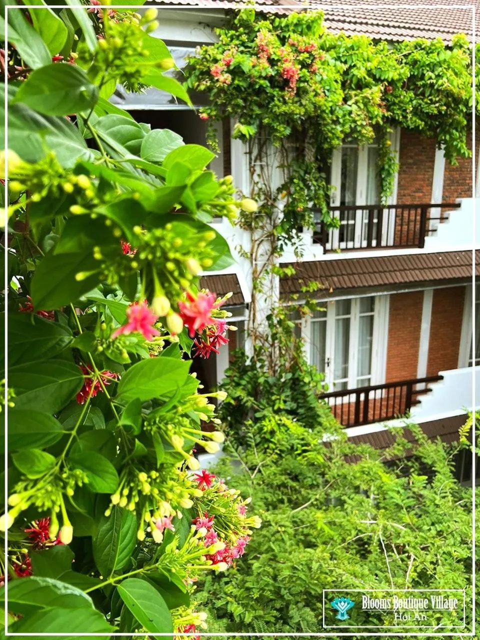 Balcony/Terrace in Ancient Garden Boutique Hoi An