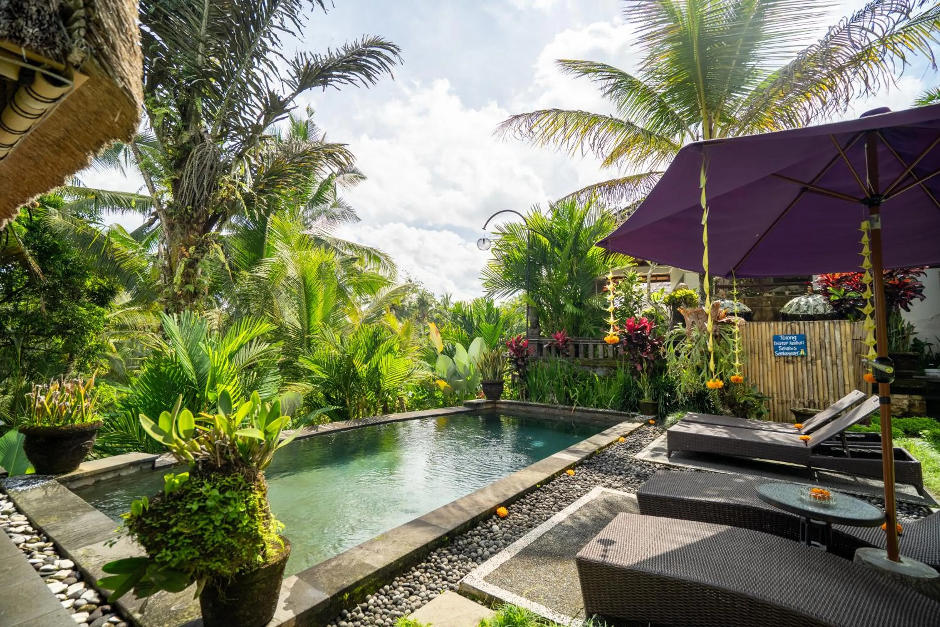 Pool view in Taluh Bebek Ubud Private Villas