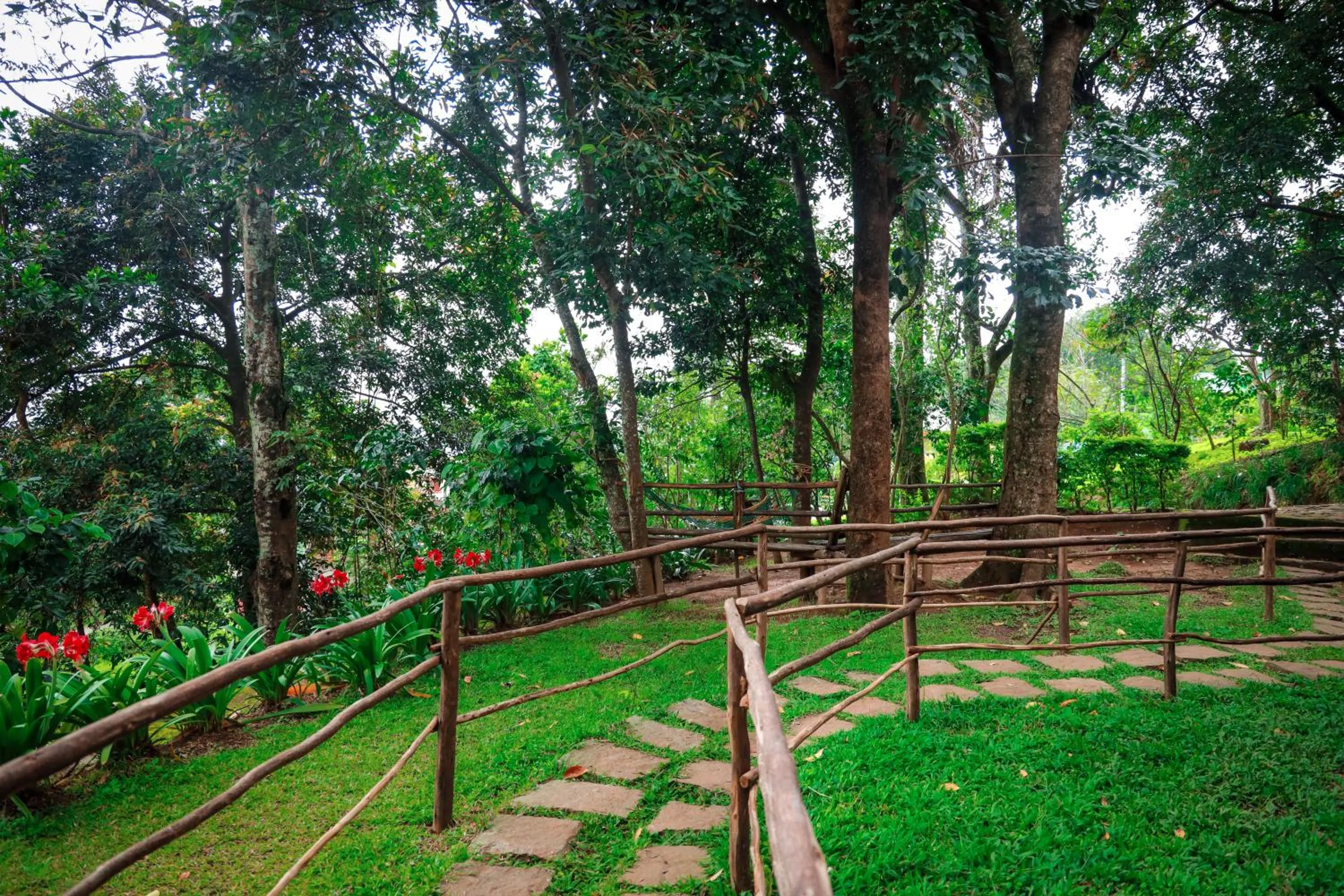 Garden in Golden Fern Resort