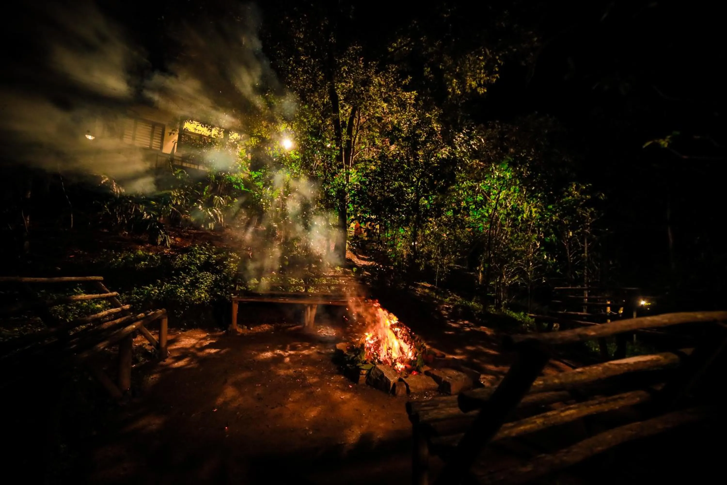 Natural landscape in Golden Fern Resort