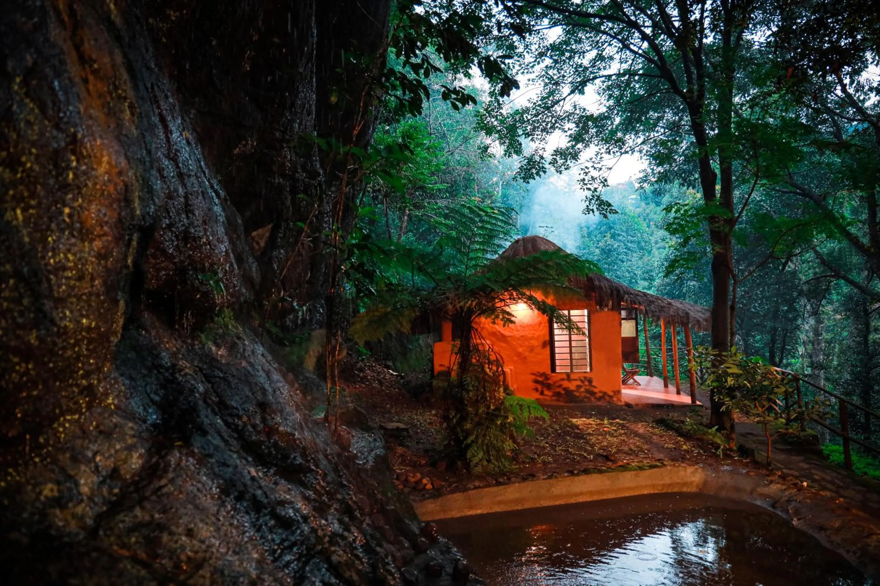 Property building in Golden Fern Resort