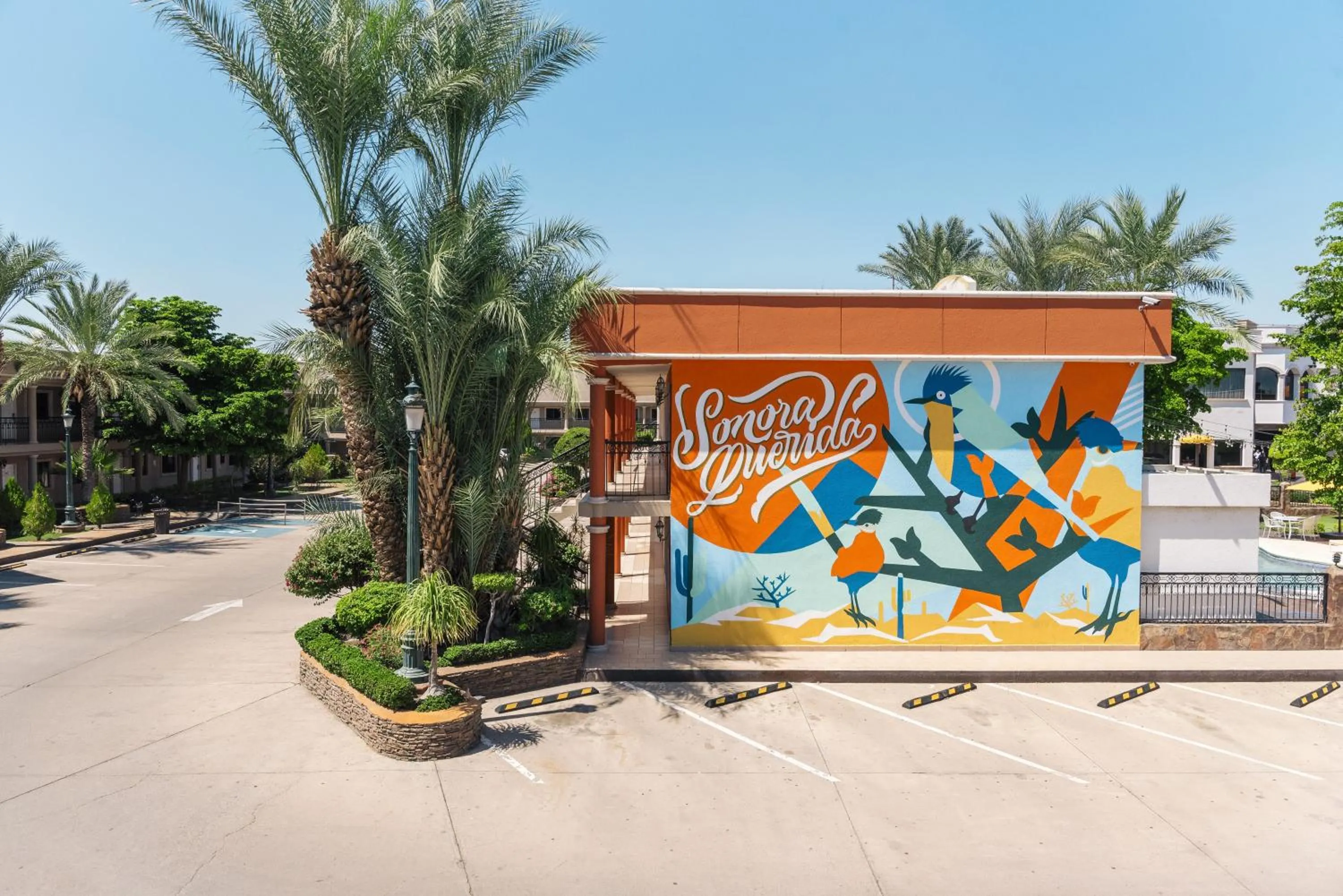 Garden view in Hotel San Sebastian