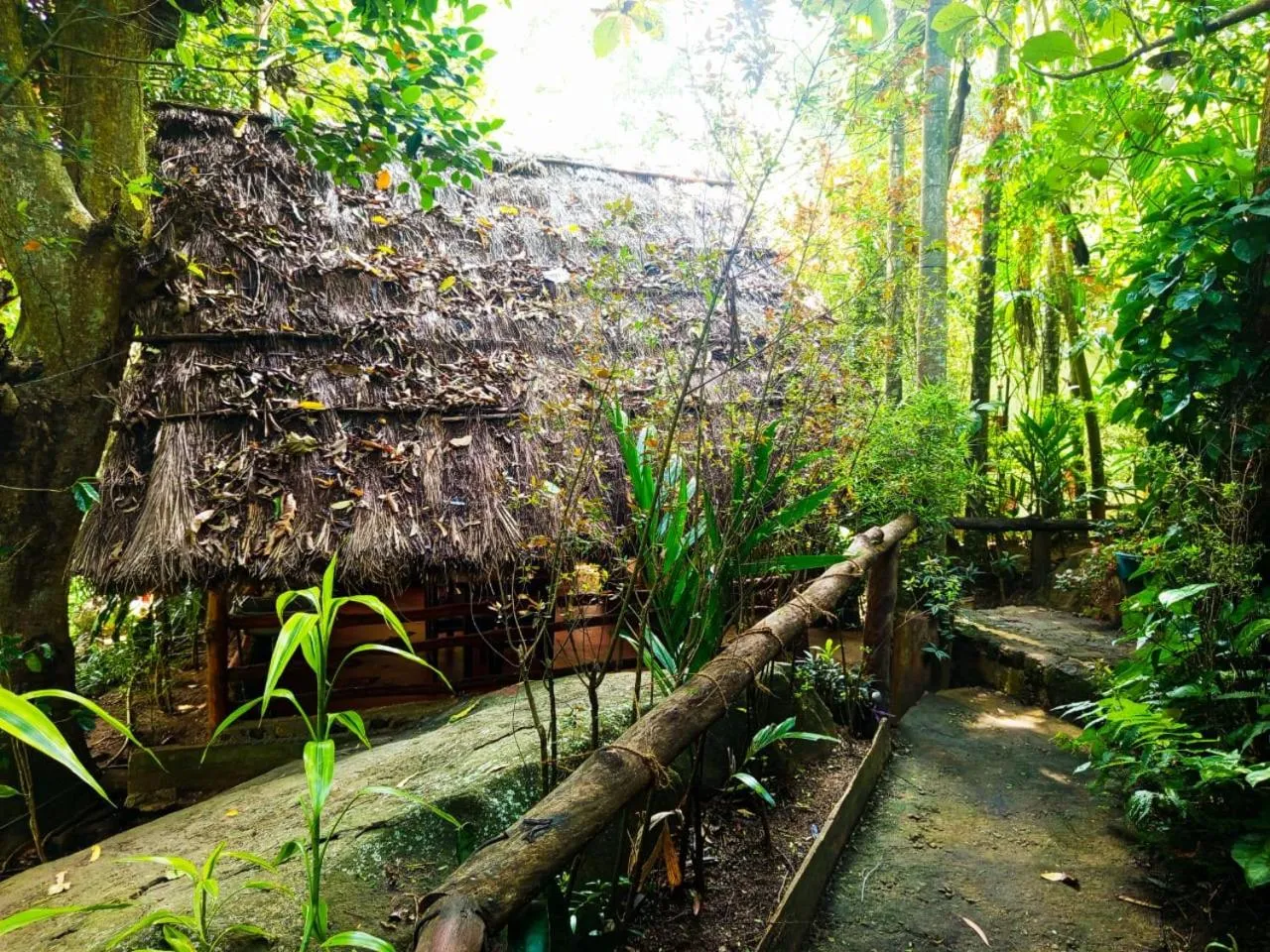 Natural landscape in Jungle Face Inn