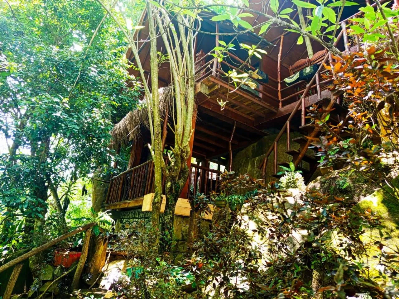 Natural landscape in Jungle Face Inn