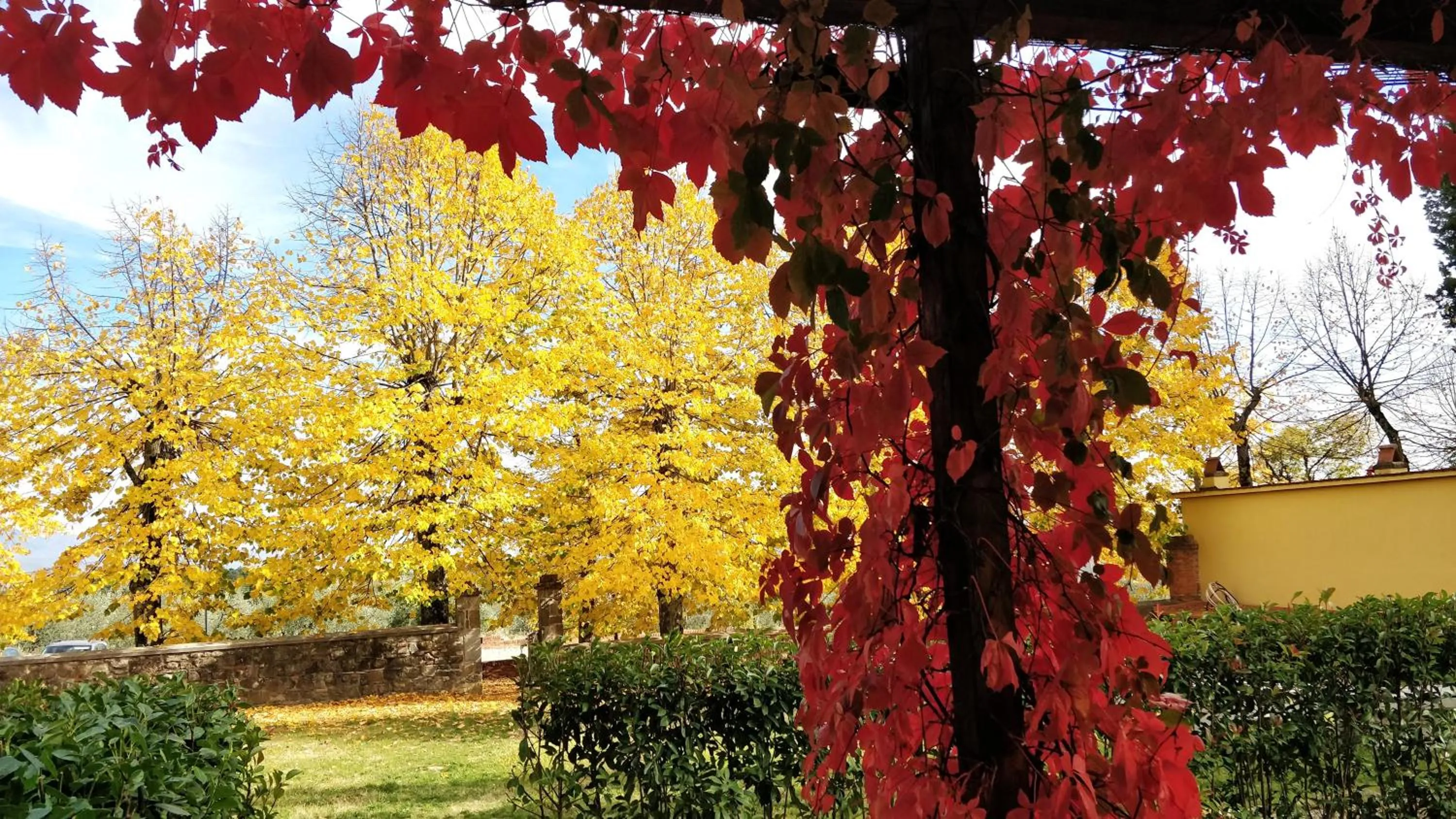 Property building in La Poggerina