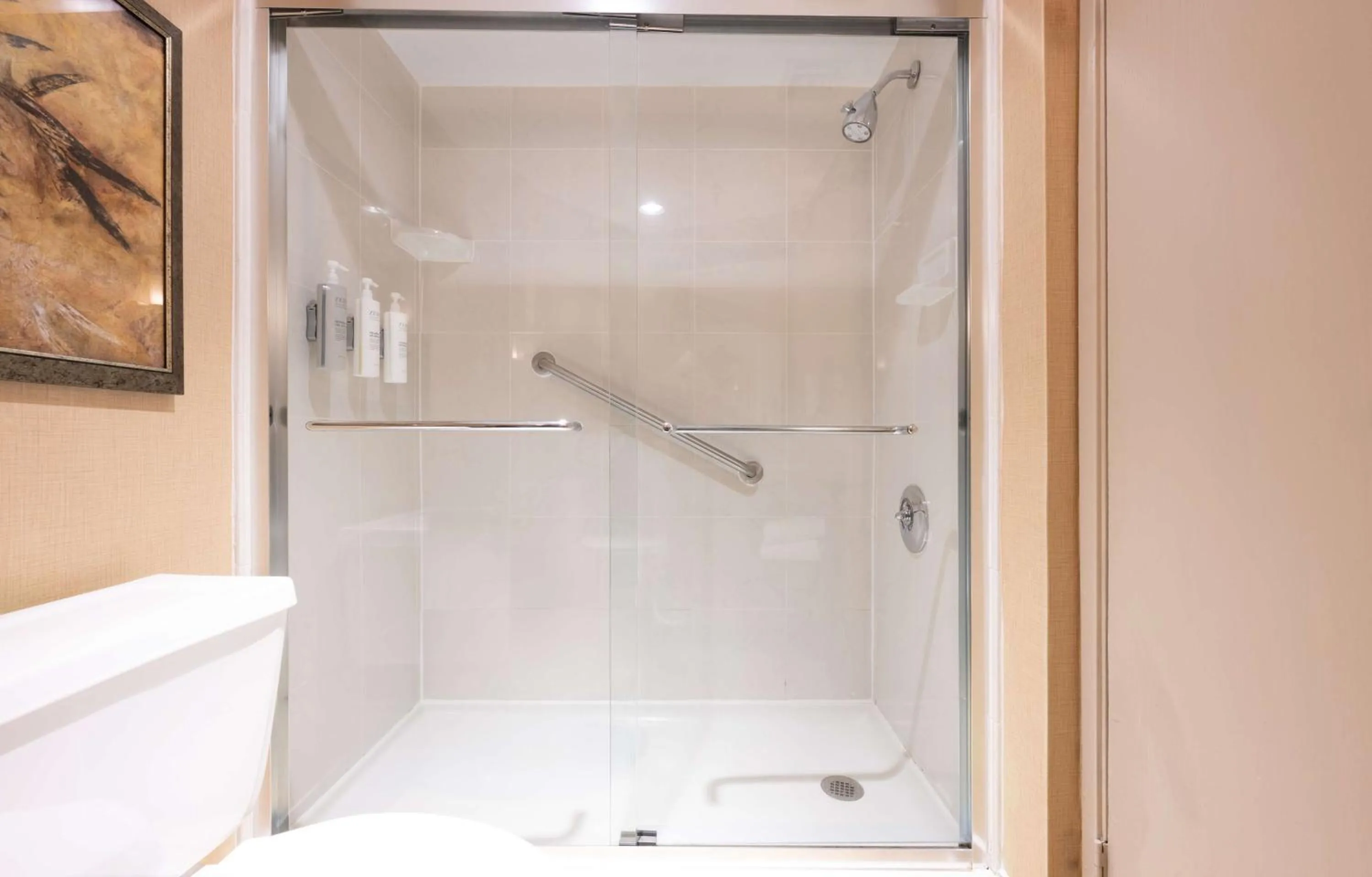 Bathroom in Embassy Suites by Hilton Bloomington/Minneapolis