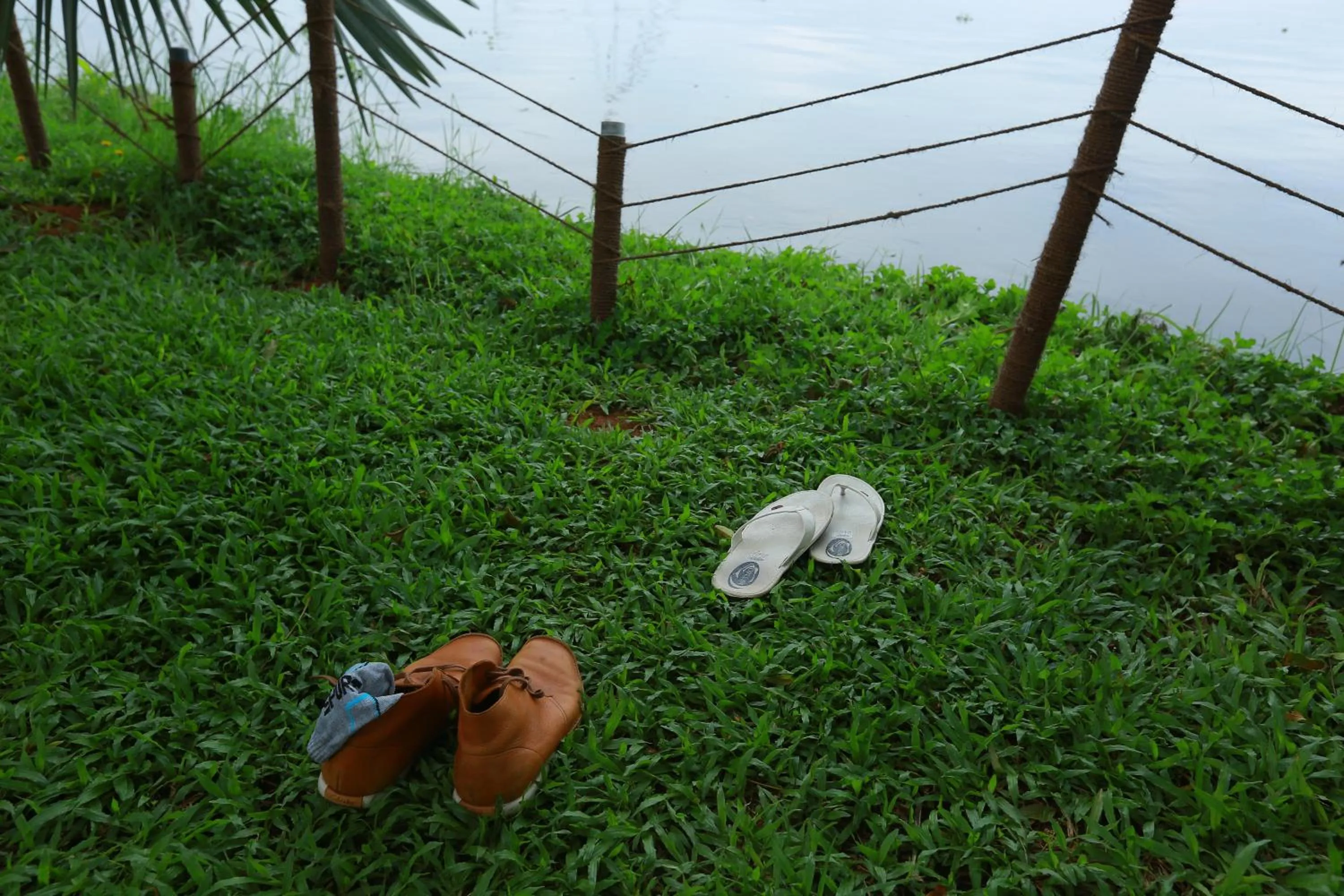 Deshadan Backwater Resort - The best sunrise view