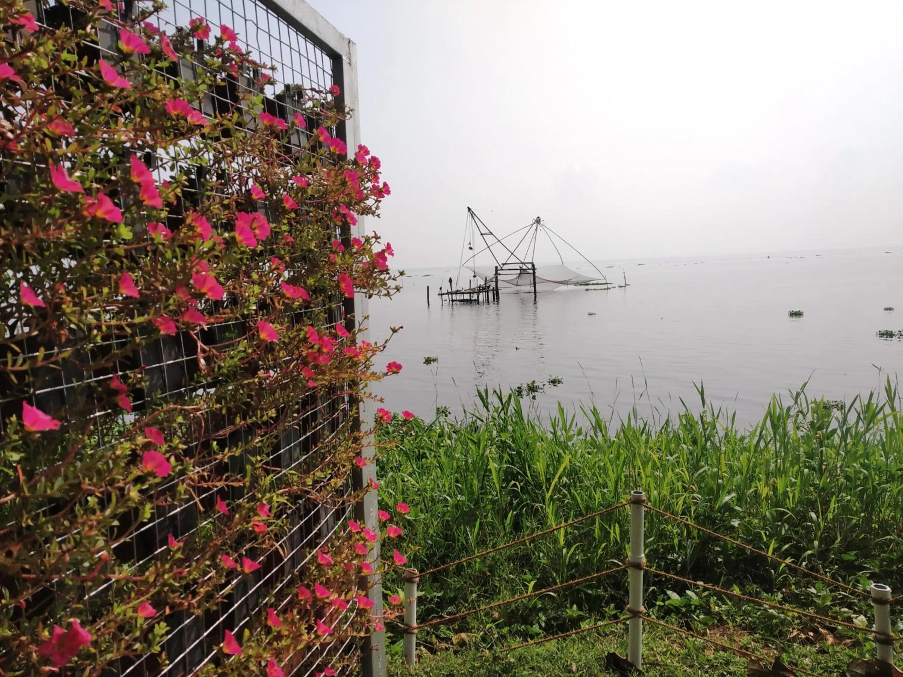 Lake view in Deshadan Backwater Resort - The best sunrise view