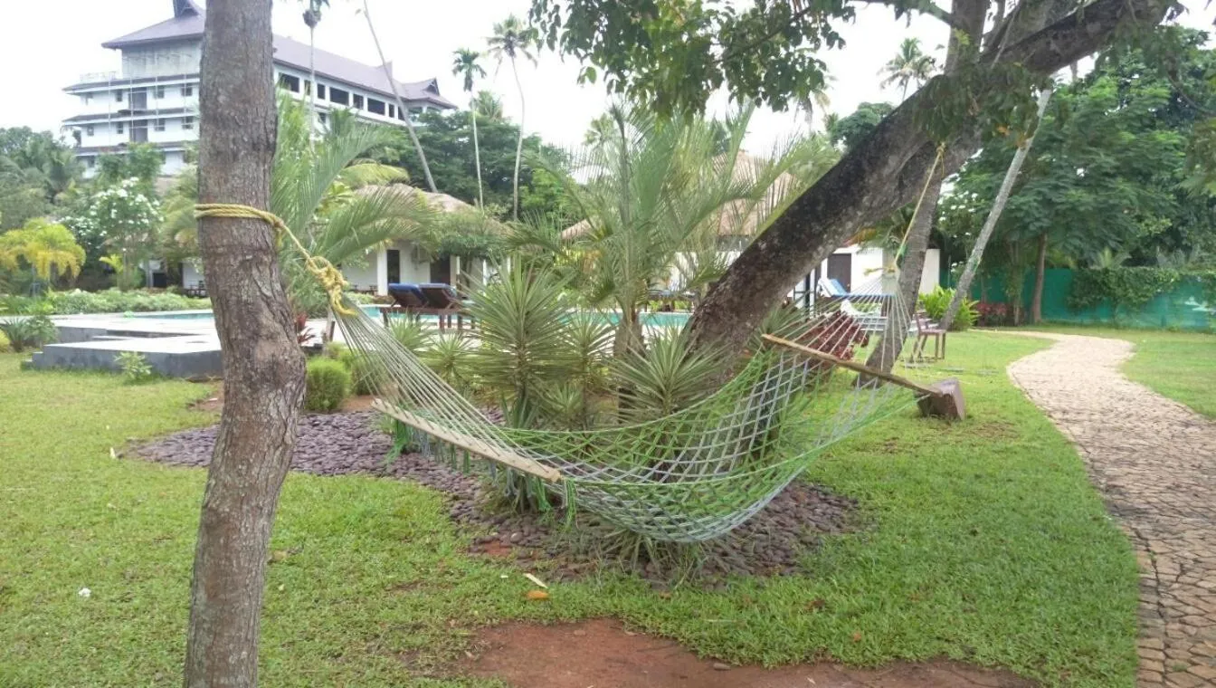 Deshadan Backwater Resort - The best sunrise view