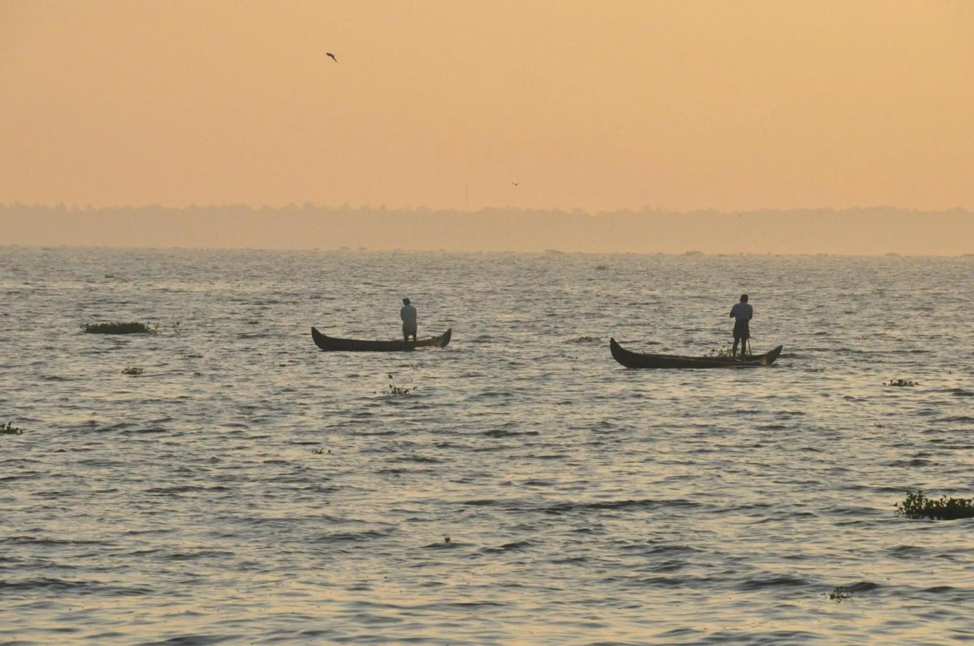 Deshadan Backwater Resort - The best sunrise view