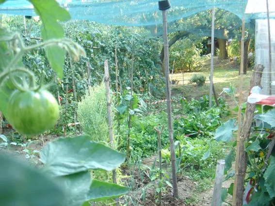 Garden in B&B Il Torchio