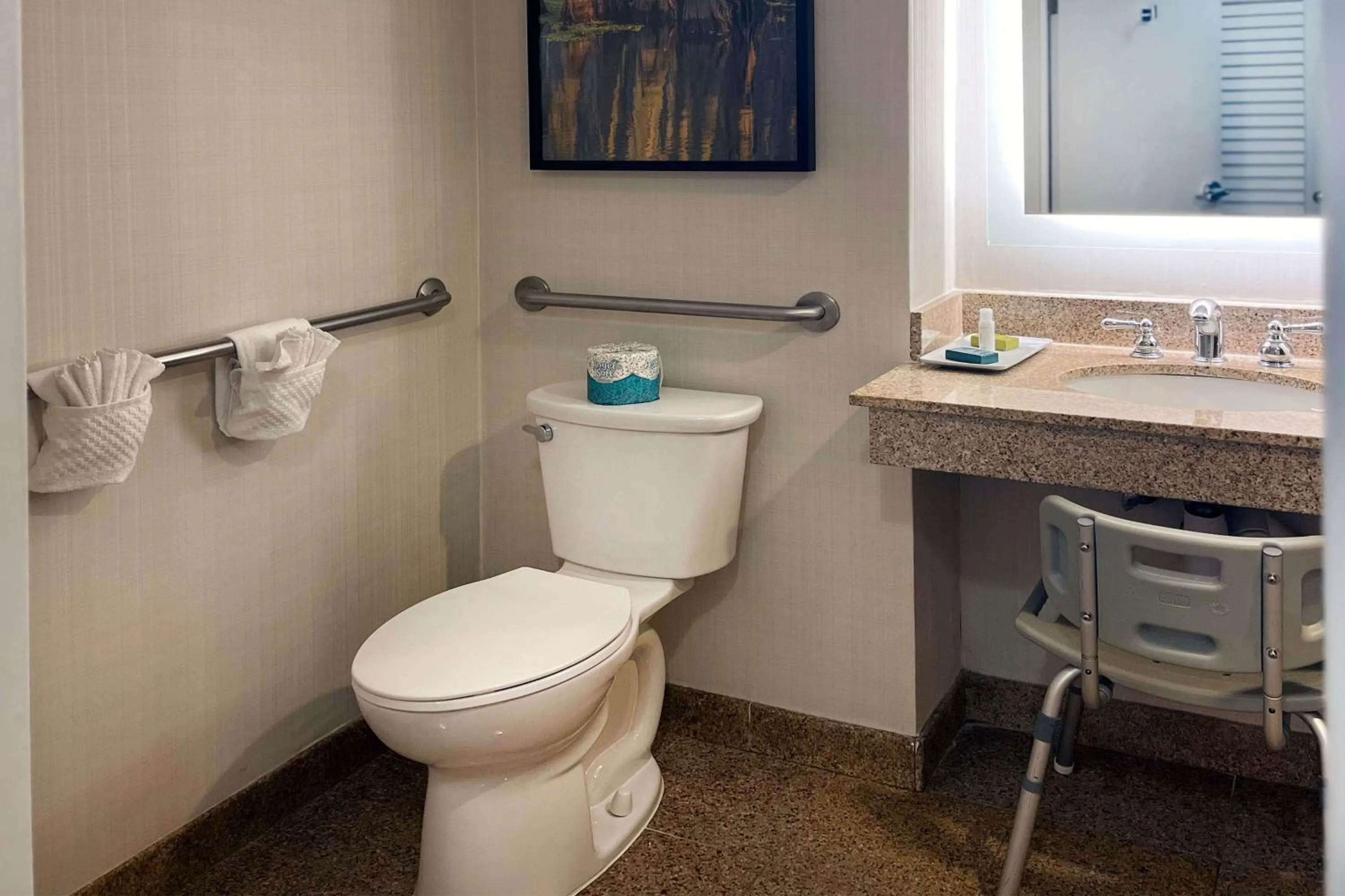Bathroom in Hilton Ocala