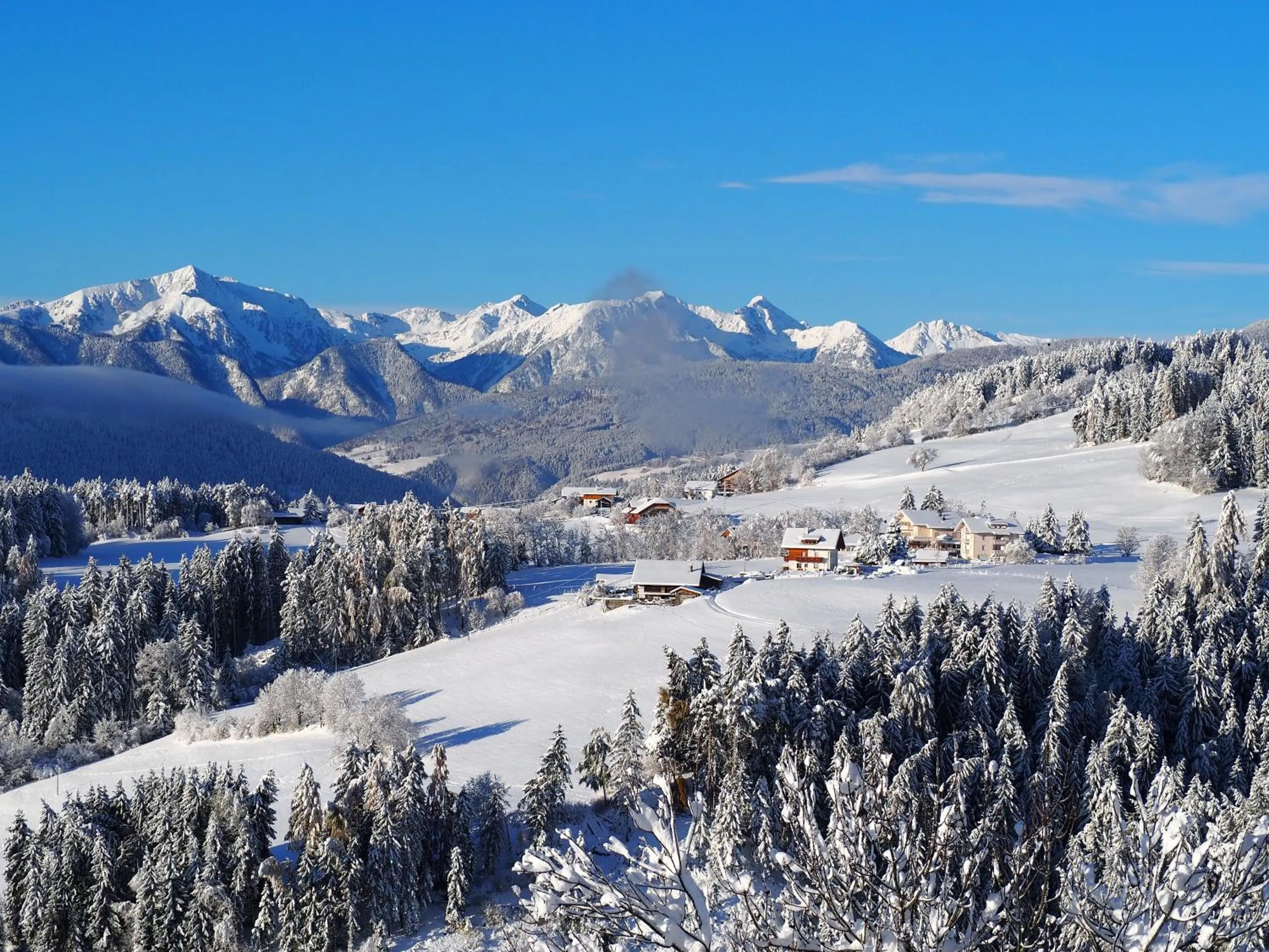 Winter in Residence Treyer