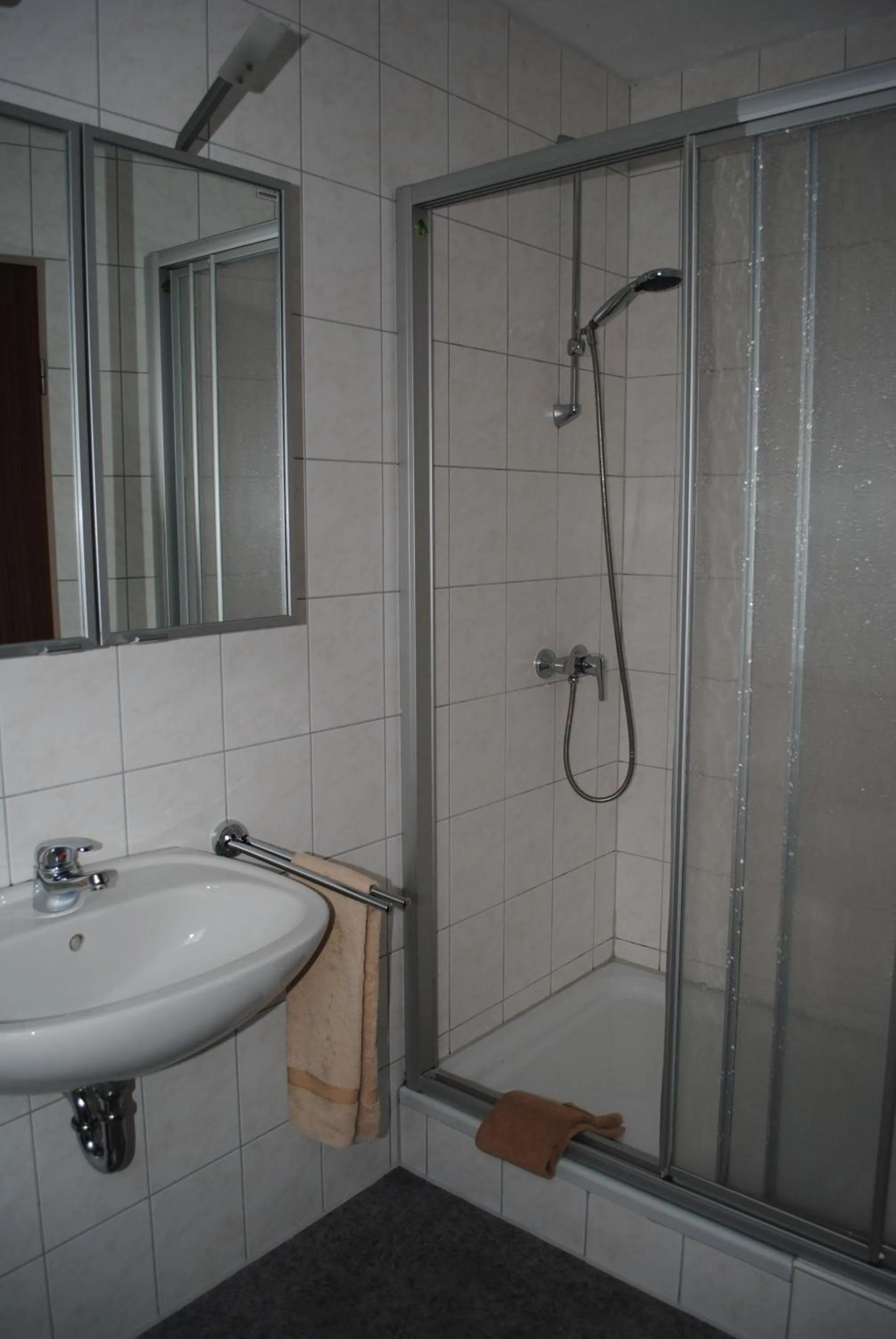 Single Room - single occupancy in Hotel Garni Nolting