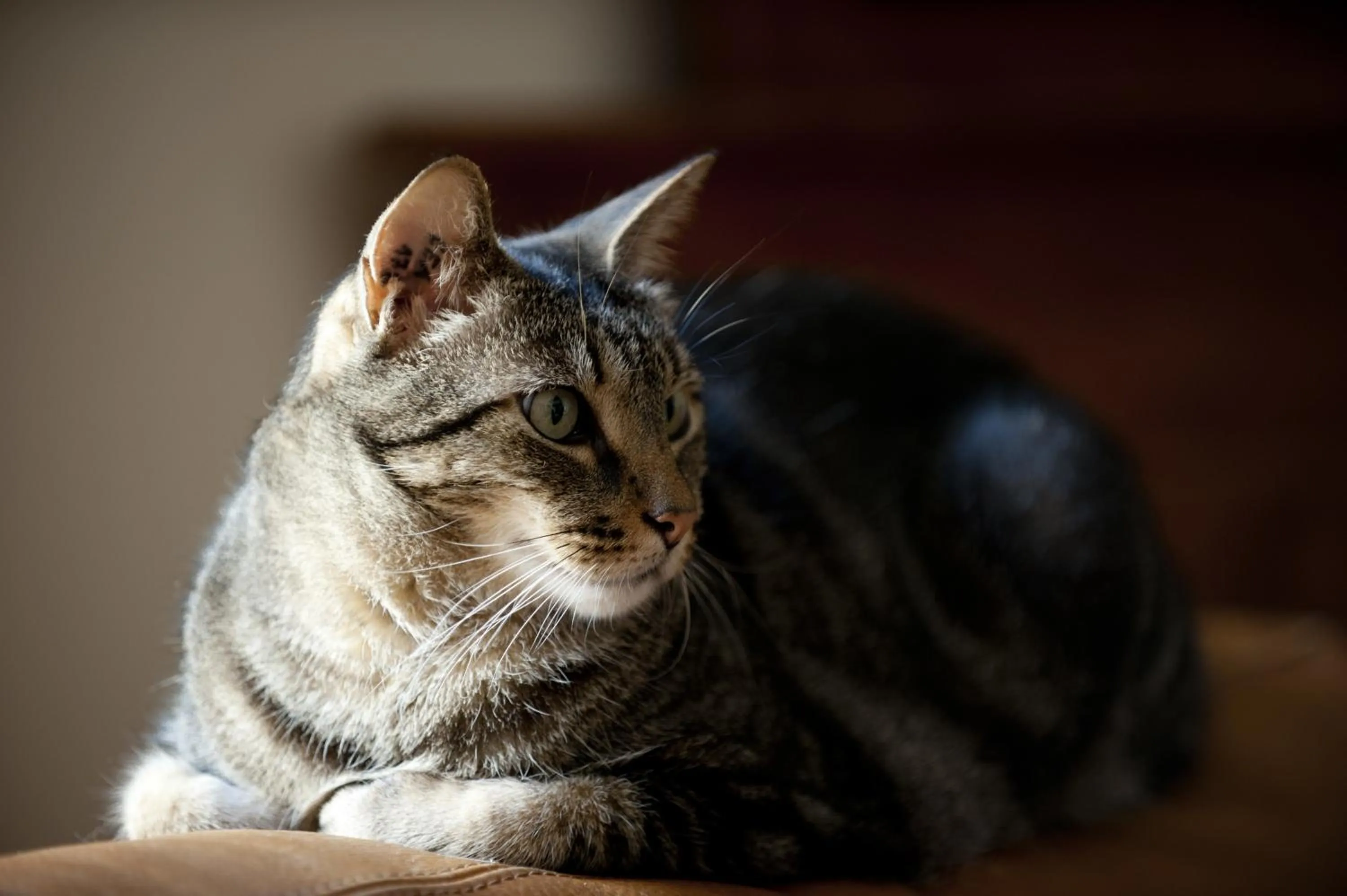 La Maison du Peintre en Provence