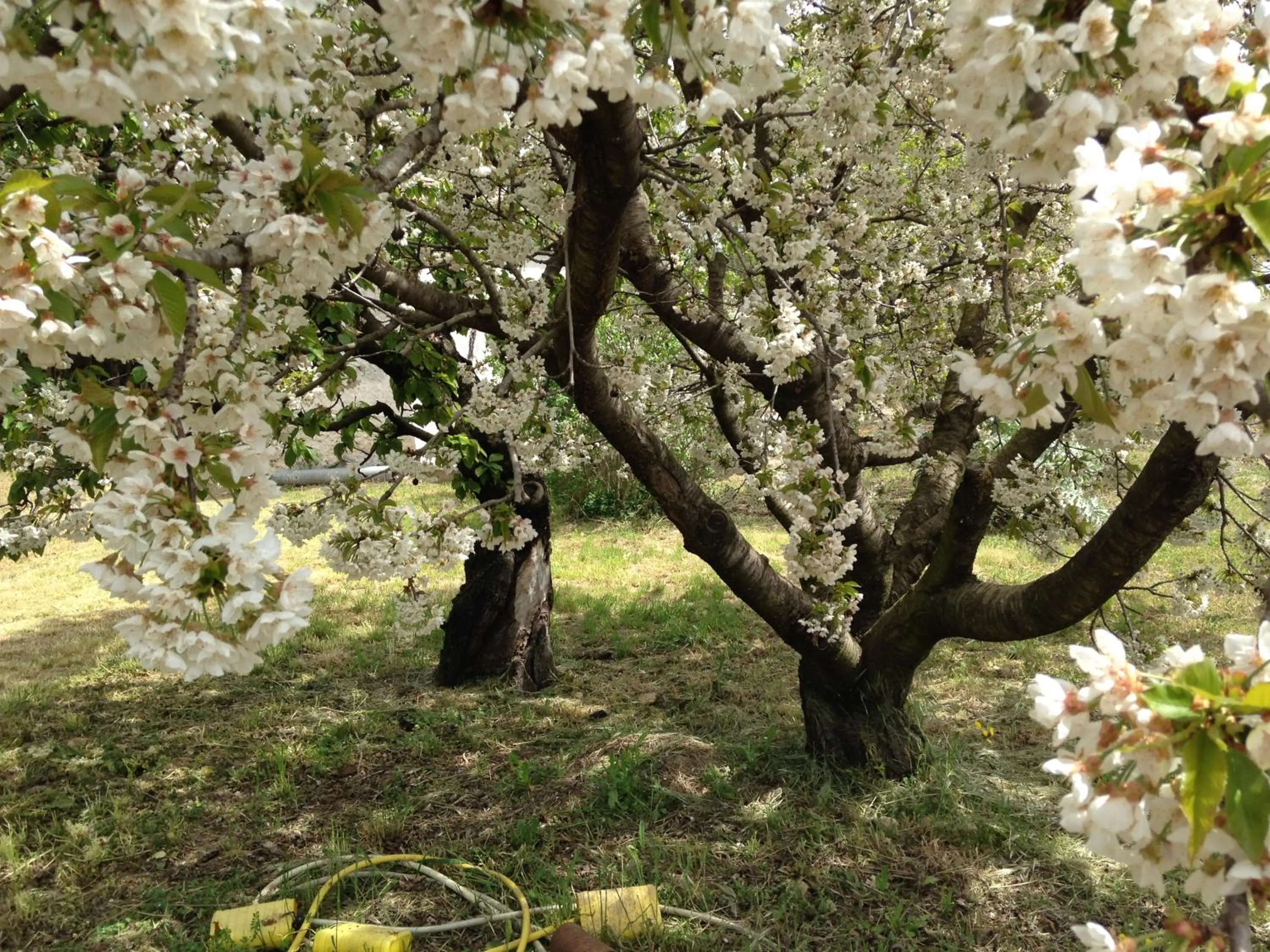 La Maison du Peintre en Provence