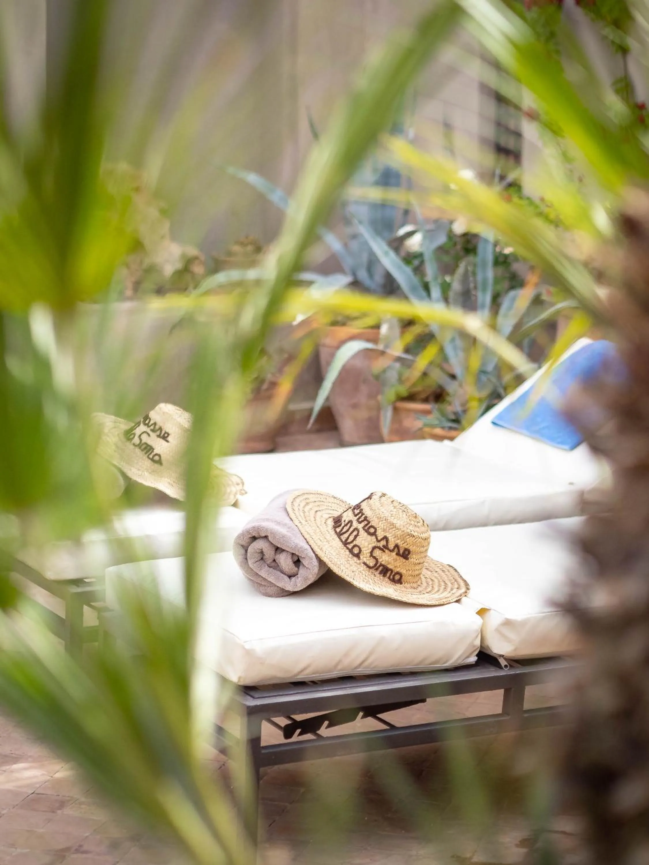 Spring in Riad Vanilla Sma & Spa