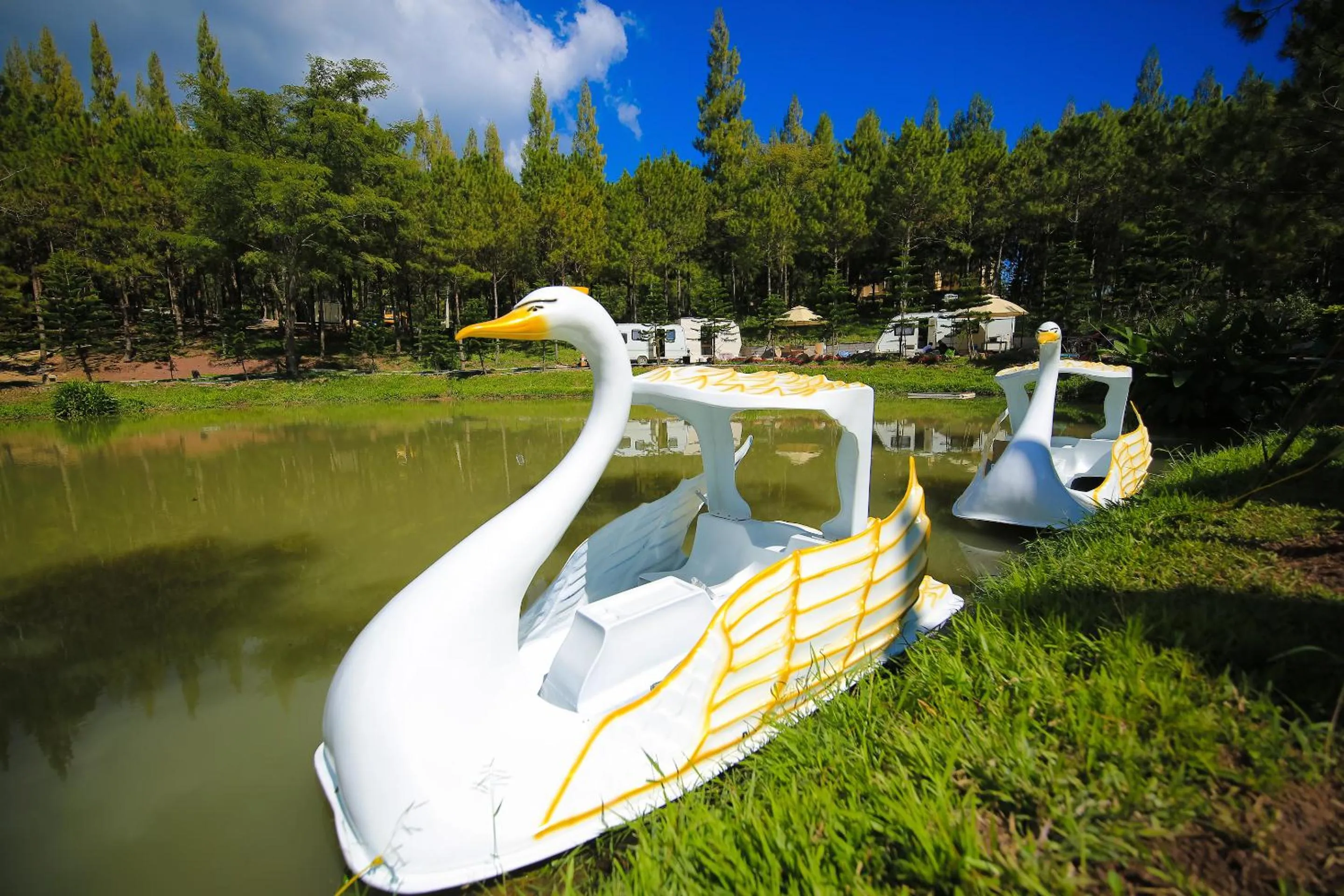 Garden in Villa PaSon