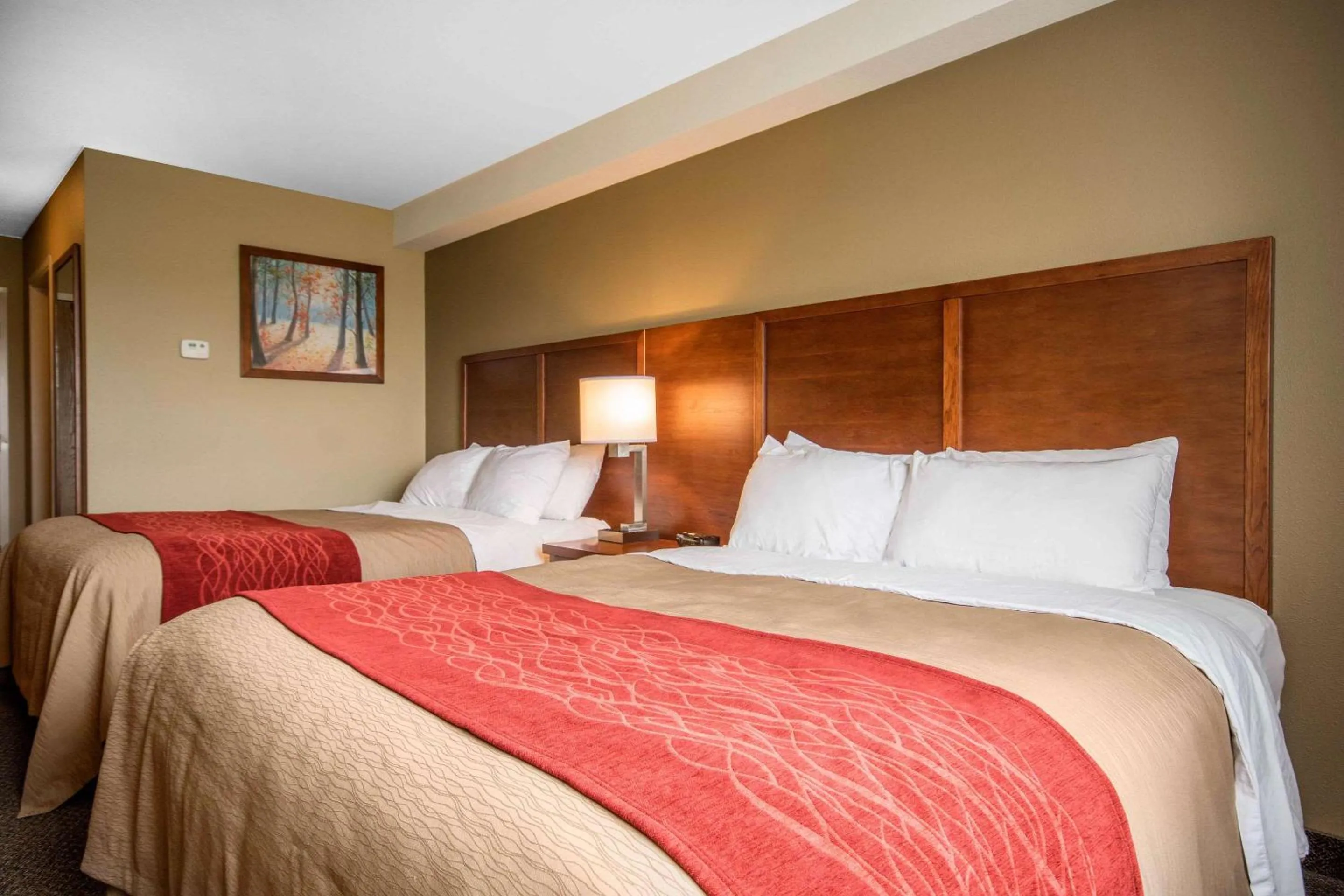 Bedroom, Bed in Comfort Inn & Suites
