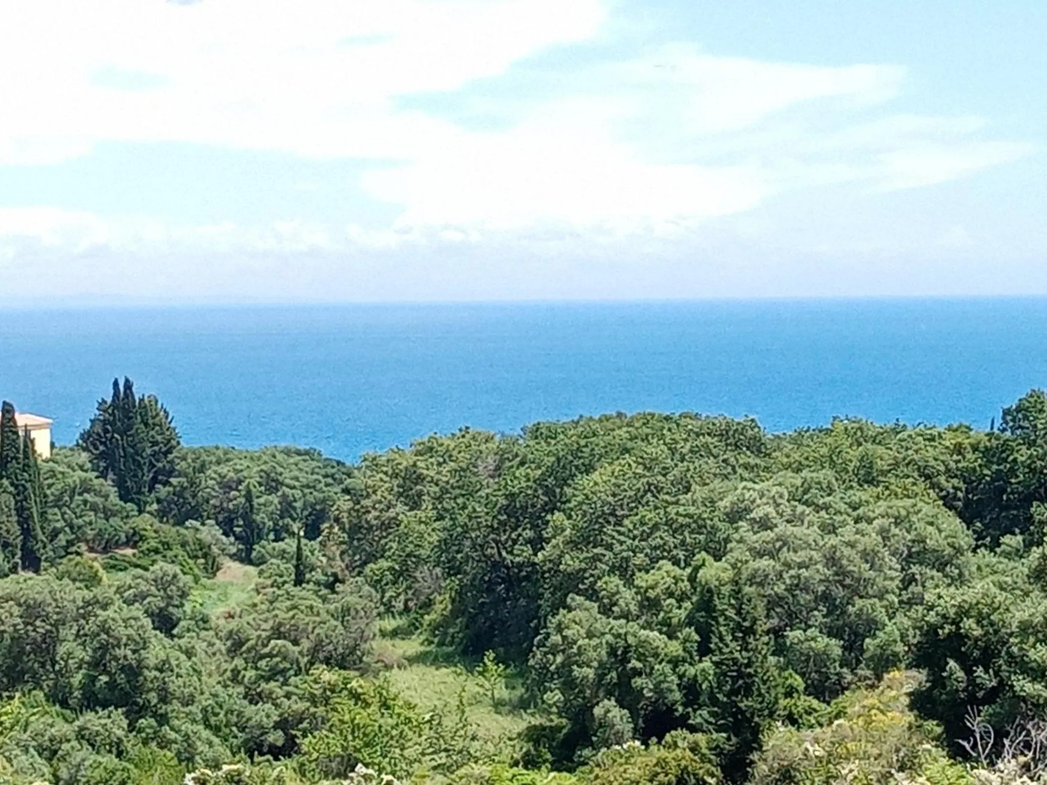 Amazona Apartments and Studios