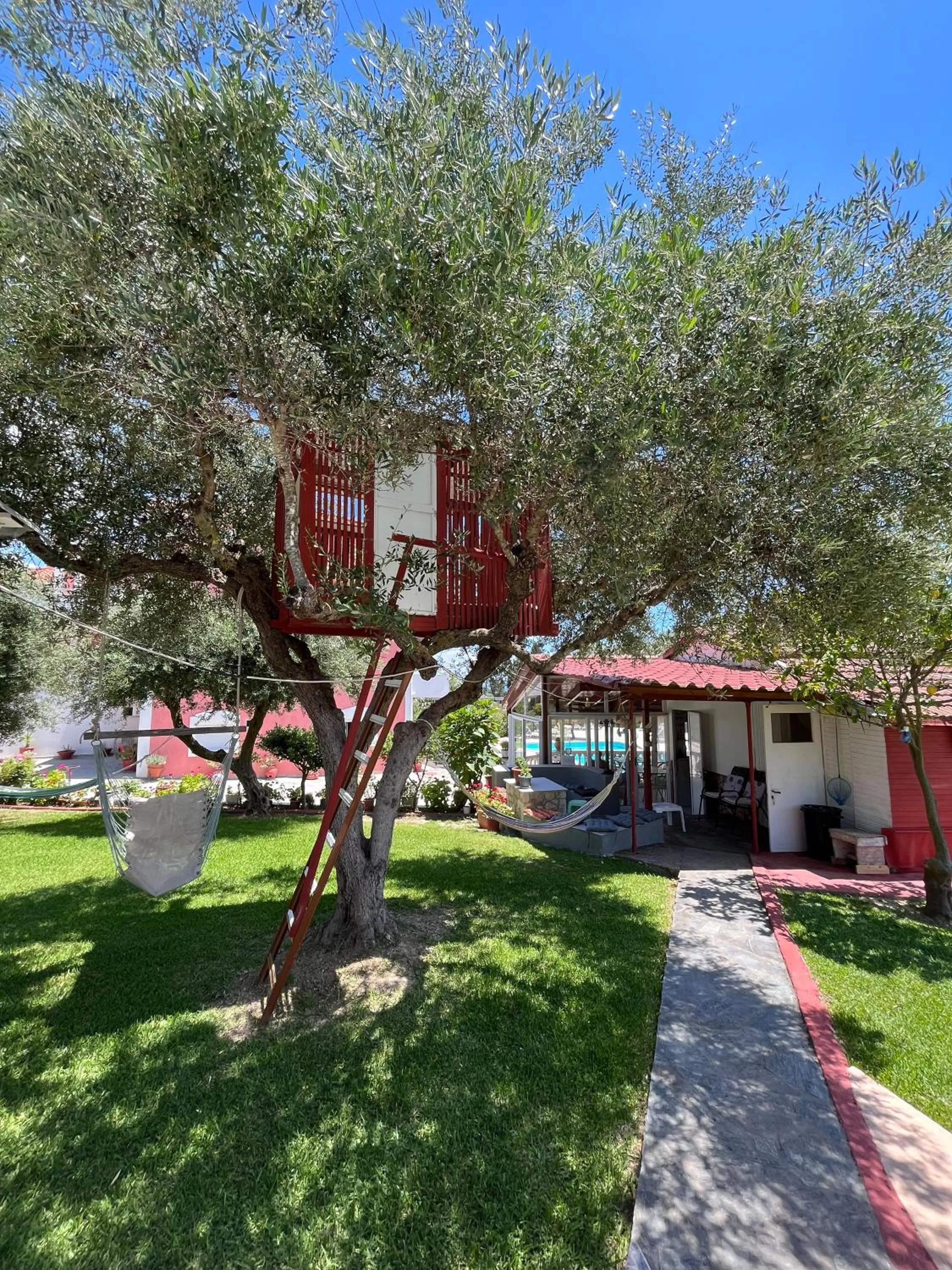 Garden view in Amazona Apartments and Studios