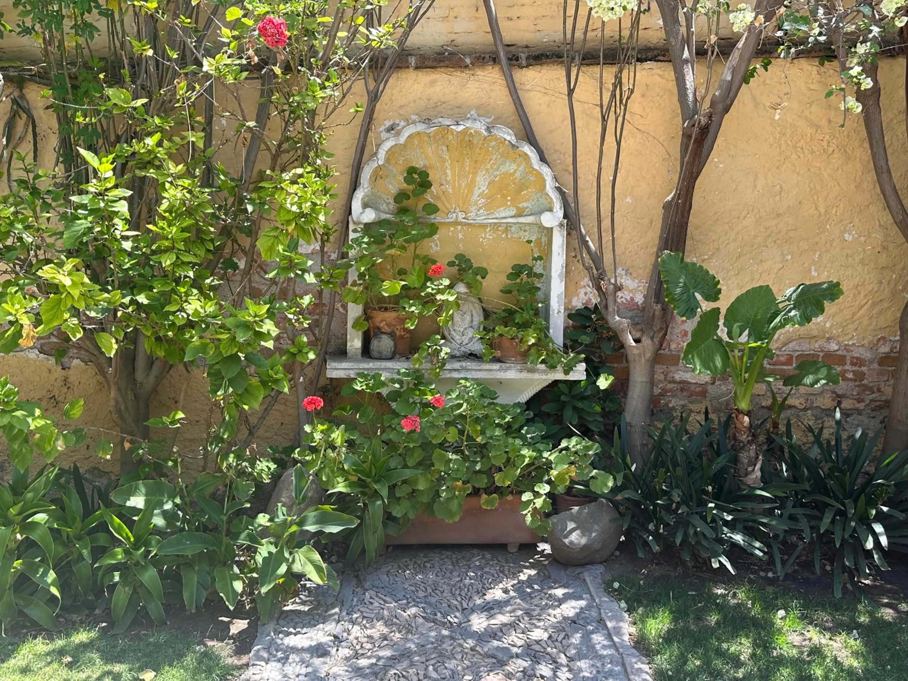 Garden in Casa de la Noche