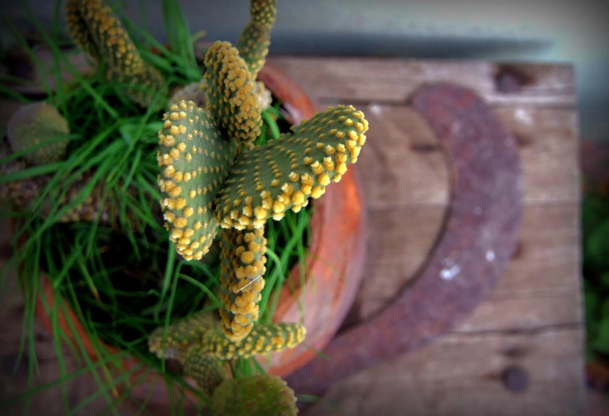 Other in Casa de la Noche